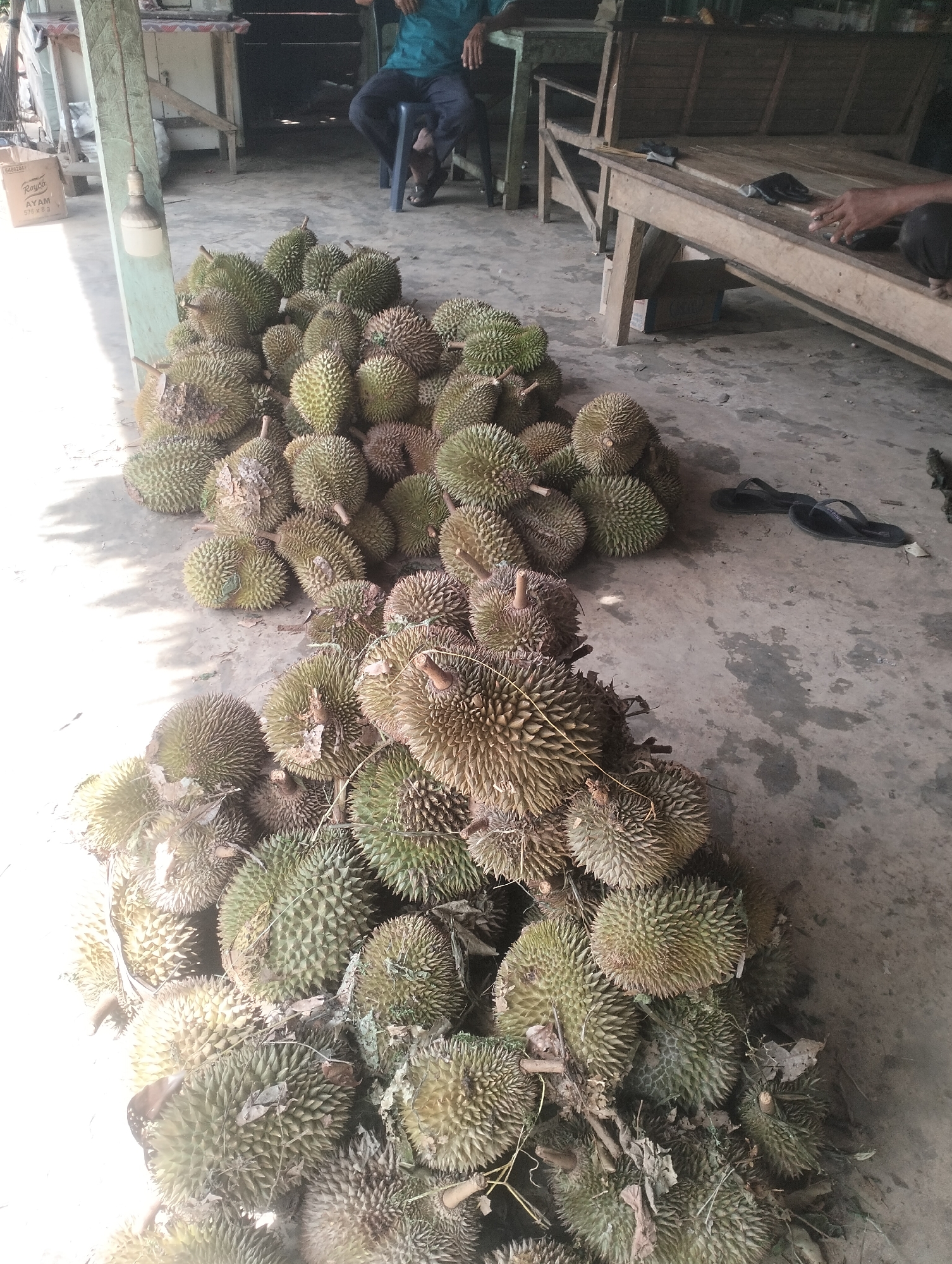 A pile of durian fruits are displayed on a concrete floor outside a building in Cotmerbo, Indonesia. The fruits are green and spiky, with some showing signs of ripeness. In the background, a person is seated on a stool, and another person is partially visible to the right. There are also wooden structures and a box with text visible, suggesting a marketplace or roadside stall. The lighting suggests it is daytime.