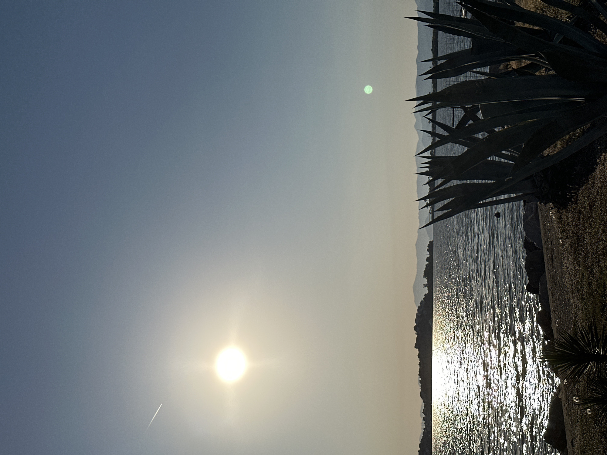 This landscape photograph captures a serene coastal scene, likely in Fethiye, Turkey, during the late afternoon or early evening. The sun, a bright white disc, is prominently positioned in the upper left quadrant of the sky, casting a strong golden glow. A faint, thin white contrail from an aircraft is visible in the clear blue-grey sky near the sun. A small, greenish circular lens flare or artifact appears in the upper right sky.
The lower half of the image is dominated by a body of water, possibly the Mediterranean Sea or a large bay, its surface shimmering intensely with countless bright reflections from the sun, creating a sparkling effect. Across the water, distant mountains or hills form a hazy, indistinct silhouette along the horizon line.
In the foreground, on the right side of the frame, a large agave plant or similar succulent with sharply pointed, dark green leaves casts a strong silhouette. Its spiky foliage partially obscures the view of the water and distant shore. A small section of a rocky or concrete embankment is also visible on the far right edge. No human activity or visible text is present, emphasizing the natural beauty and tranquility of the scene. The overall impression is one of peaceful warmth and scenic beauty.