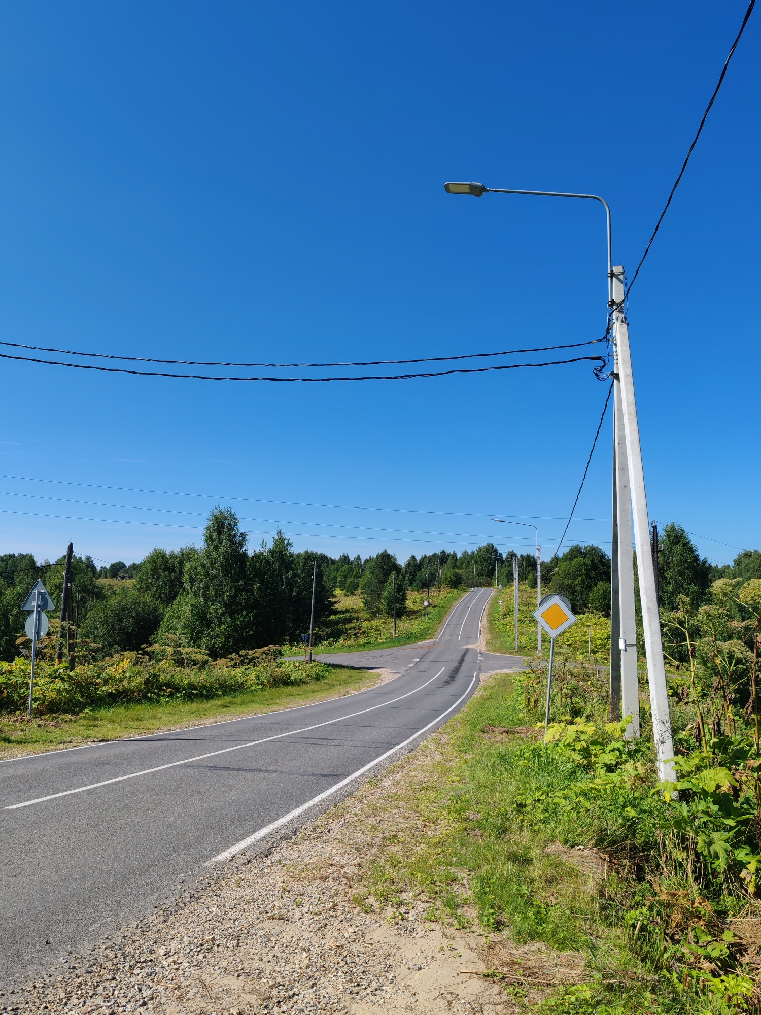 The image depicts a rural road winding through a landscape under a clear blue sky. On the right side of the road, a tall concrete utility pole supports a streetlamp and power lines. Nearby, a diamond-shaped yellow sign with a thick black border is mounted on a pole. The road is asphalt with white dividing lines and a gravel shoulder. The surrounding environment is lush with green trees and vegetation, including large-leafed plants in the foreground. A traffic sign with a circular white disc and a blue diagonal bar is visible on the left side of the road, further down the way. The scene suggests a remote location, possibly in a village or countryside area. The lack of people or vehicles indicates a quiet moment.