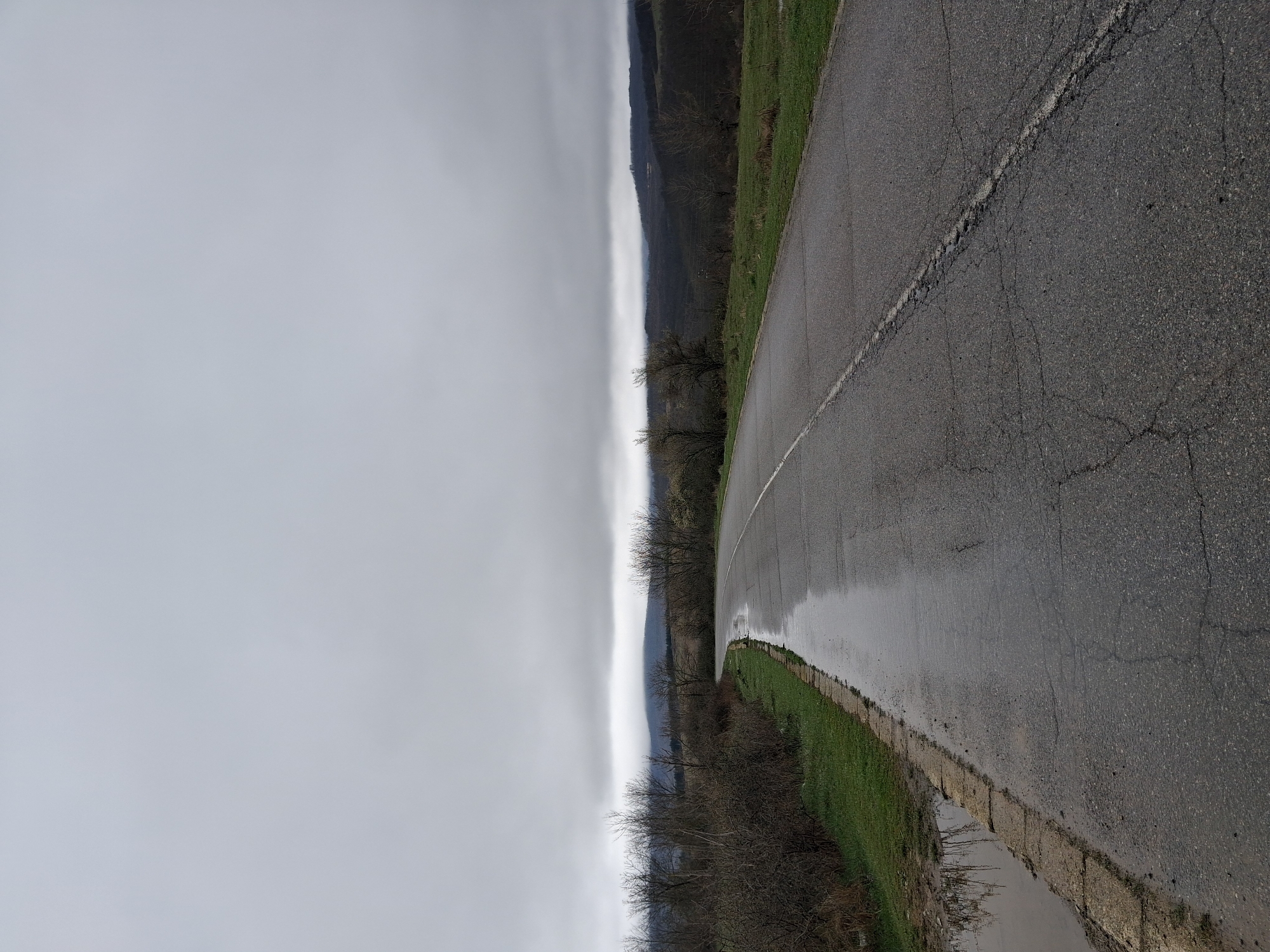 The image shows a road in Gradets, Bulgaria on an overcast day. The road surface is wet, likely from recent rain. A white line marks the center of the lane. The pavement is cracked in several places. To the right of the road is a strip of green grass. Beyond the grass is a forested hillside obscured by low clouds or fog. The sky is uniformly gray. There are no people or vehicles visible.