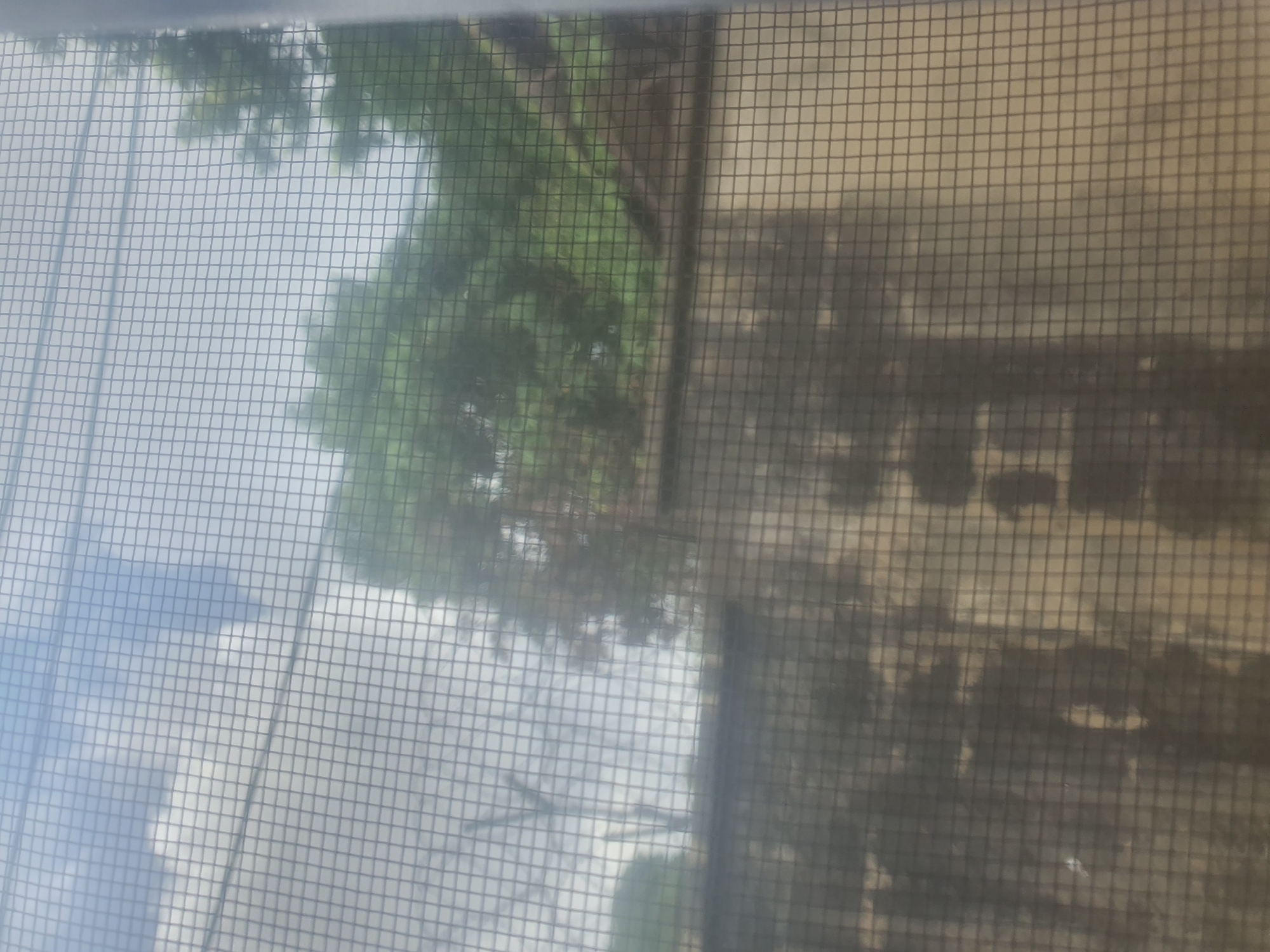 The image shows a view through a screen, looking outwards. The screen itself is a grid of thin, dark lines. On the left side of the image, the view appears to be of the sky, which is a pale blue, with some white clouds or haze. There are also dark green shapes that suggest foliage from trees, possibly with leaves. The perspective is looking slightly upwards.
On the right side of the image, the view is of a building or structure. This is also seen through the screen, so the details are blurred and indistinct. The building appears to be a light brown or beige color, with darker areas suggesting shadows or architectural features. There are horizontal and vertical lines that could indicate windows or sections of the building's facade. The overall impression of this part of the scene is somewhat rough or weathered.
The image seems to be taken during daylight, likely daytime, given the brightness of the sky. The weather appears to be partly cloudy or hazy. The location context of Jos, Nigeria, does not provide specific visual cues visible in the image itself, but it helps to understand the general environment. There are no people or animals visible. The activity, if any, is passive observation of the outdoor scene through a window screen. The image evokes a sense of looking out from an interior space into the outside world, with the screen acting as a filter. There is no visible text in the image.