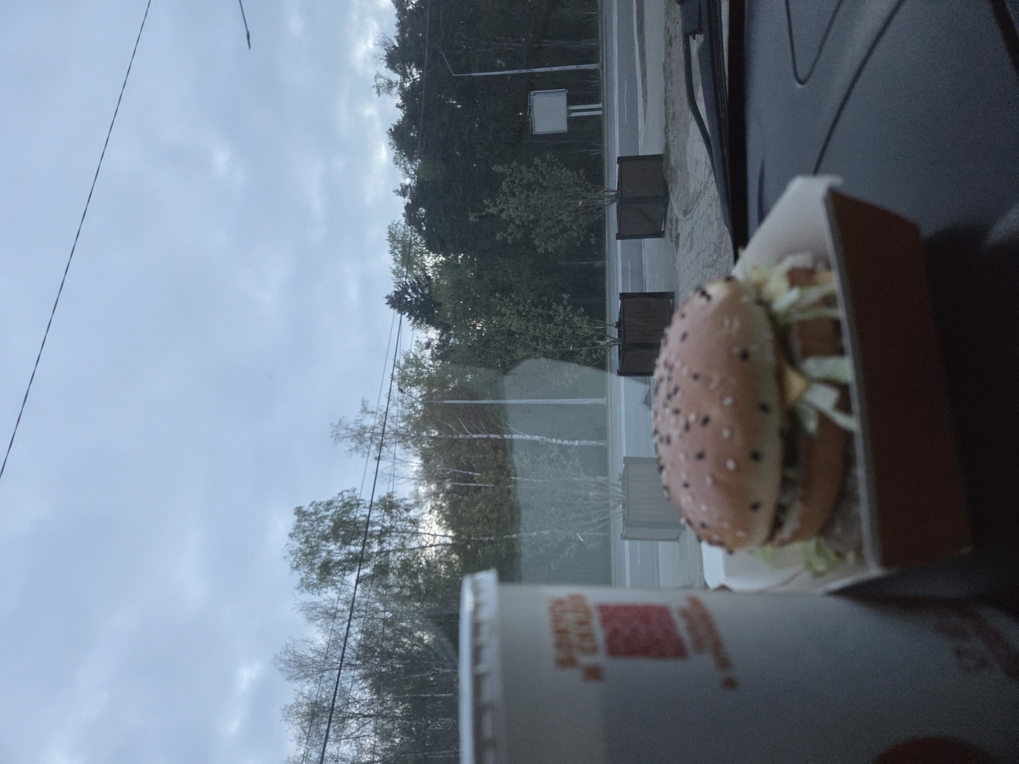 The image shows a burger in its box and a cup, possibly a beverage, resting on what appears to be the dashboard of a vehicle. Outside the window, a view of a road lined with trees is visible under an overcast sky. A signpost is present along the road. Based on the presence of Russian text on the cup, it suggests the location is likely in Russia. More information is required to confirm the location of Perm, Russia.