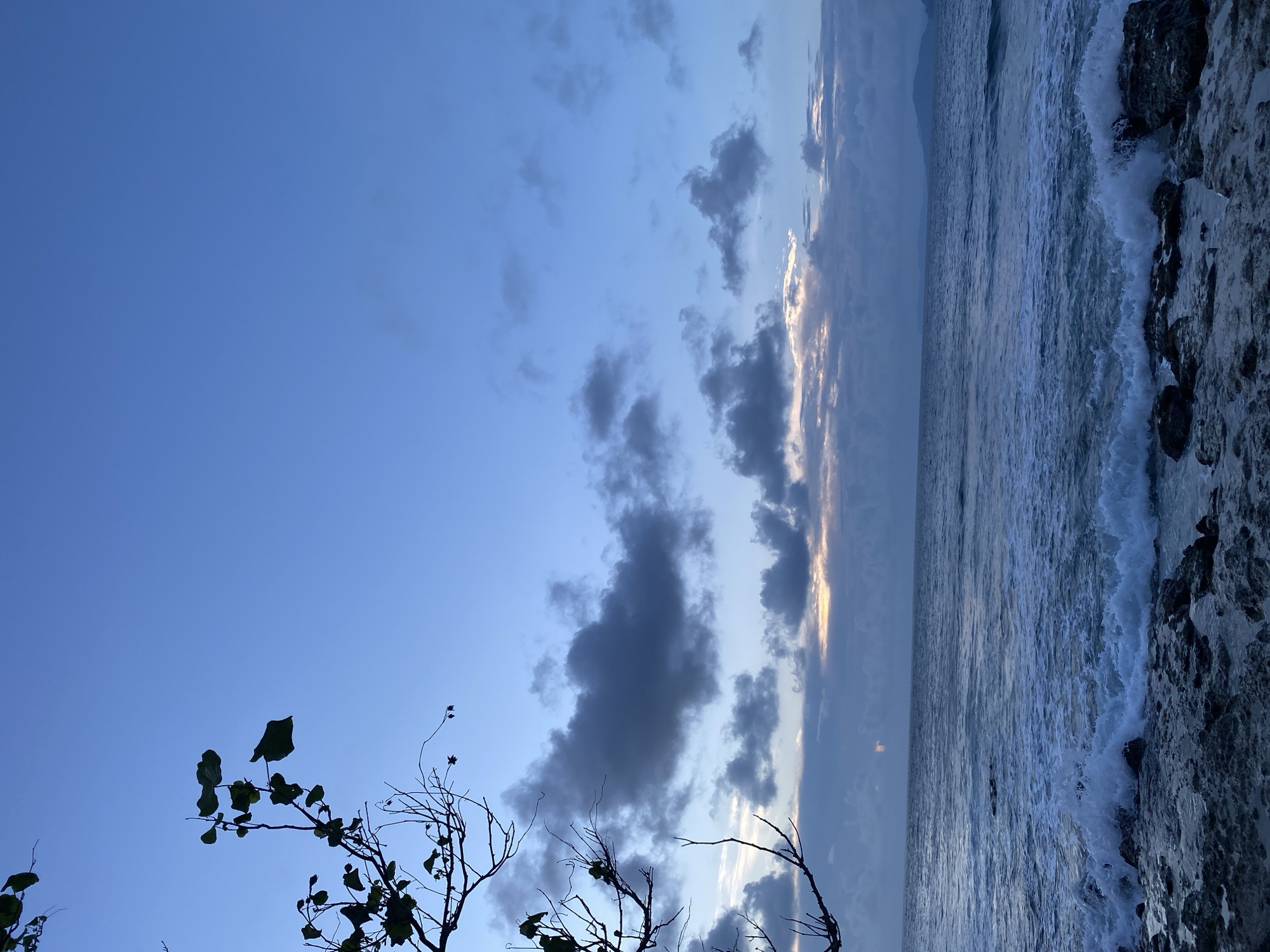 The image depicts a serene seascape at dusk, with the sky transitioning from a deep blue to lighter shades near the horizon. The sky is partially obscured by scattered, dark gray clouds. In the foreground, a rocky shoreline meets the ocean, with gentle waves lapping at the rocks. The water appears dark blue and slightly choppy. To the left of the frame, the silhouette of a tree branch with a few leaves extends into the sky. The distant horizon shows the faint outline of land. There are no people or animals visible in the scene, and no specific actions or interactions are taking place. The location is identified as Tanjong, Indonesia, suggesting a coastal environment.