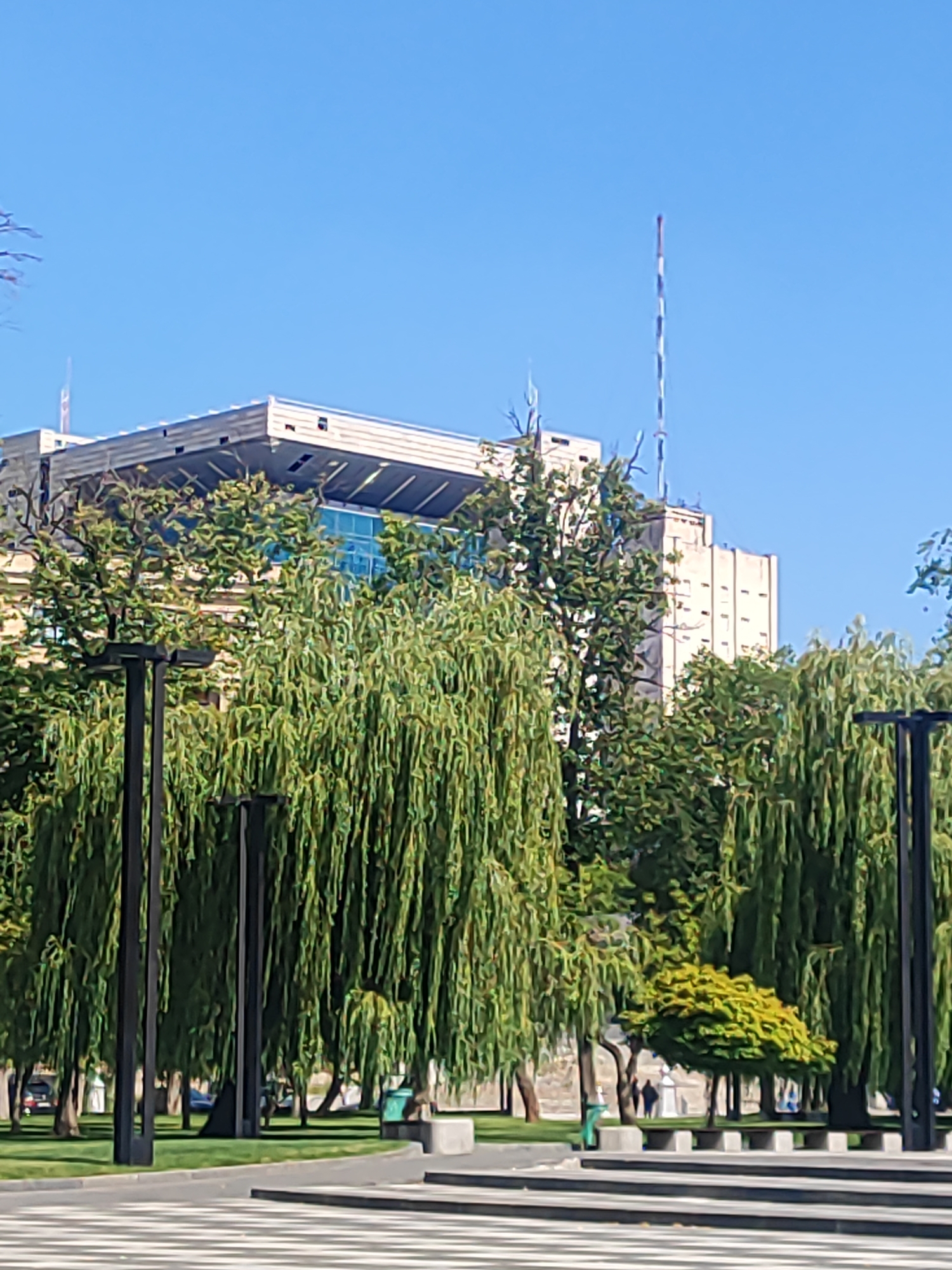 A low-angle shot captures a section of a building in the background, partially obscured by several large trees with drooping branches in the foreground. The building is a multi-story structure with a flat roof and several windows, appearing to be made of concrete or a similar material. A tall, slender antenna, possibly for broadcast or communication, rises from the top of the building. The trees in the foreground are dense and leafy, creating a canopy that filters the sunlight. In the middle ground, the scene depicts a park-like setting with manicured lawns, benches, and streetlights. A few indistinct figures can be seen walking in the distance, suggesting the presence of people in the area. The sky is clear and blue, indicating fair weather. The ground in the very front of the image shows a paved area with a striped pattern, possibly a crosswalk or a decorative walkway.
