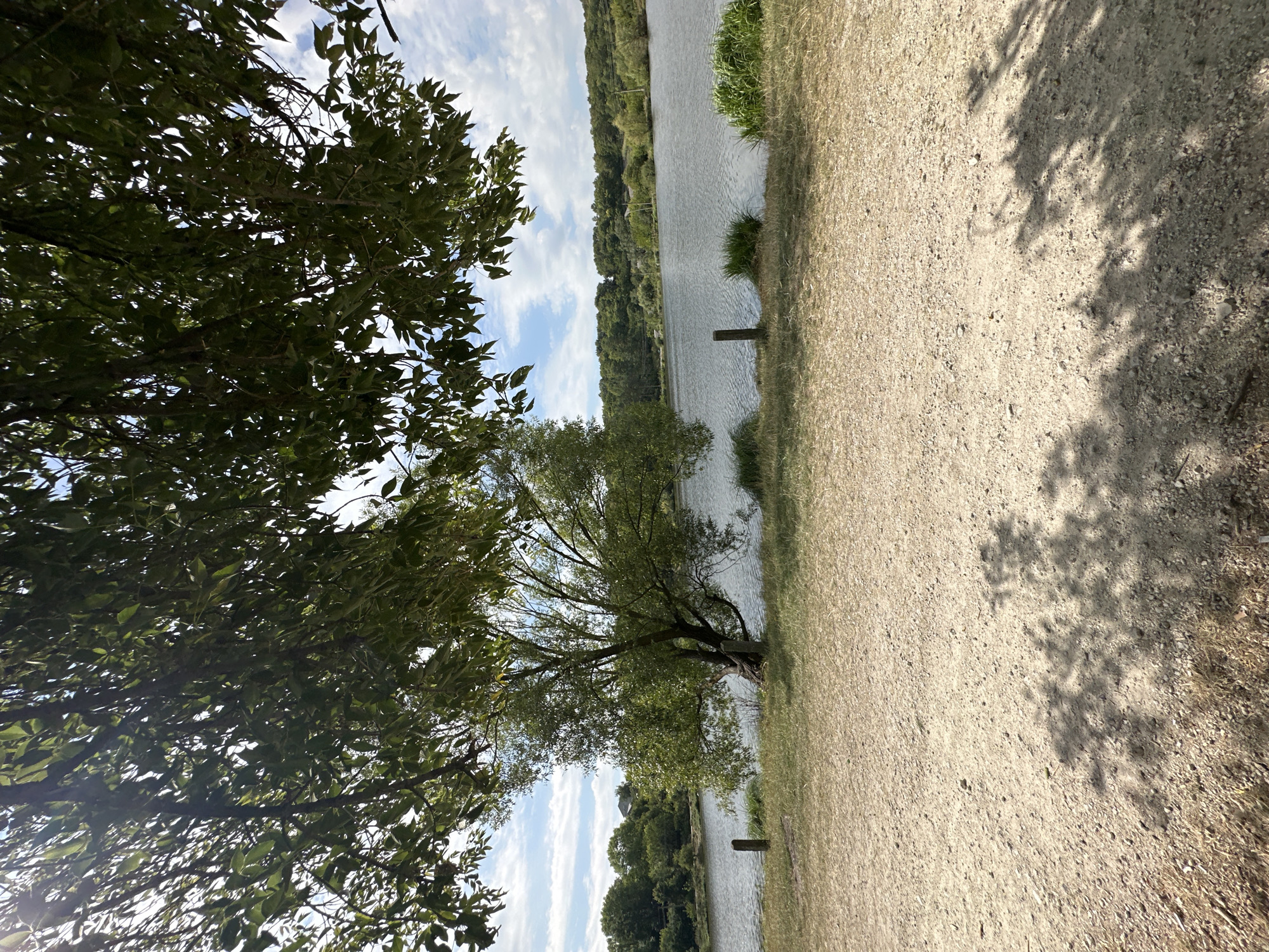 This is a photograph taken on a sunny day, likely in the city of Makiv, Ukraine, depicting a scenic natural environment. The foreground is a dusty, gravelly path with dry grass and fallen leaves. The midground features the edge of a calm body of water, likely a lake or river, with a few small posts visible along the bank and patches of green grass and reeds. A lone tree with green foliage stands by the water's edge. The background is dominated by a lush, tree-lined shore with a gentle slope leading up to a dense forest. The sky above is blue with scattered white clouds. The overall impression is one of a peaceful, outdoor landscape.