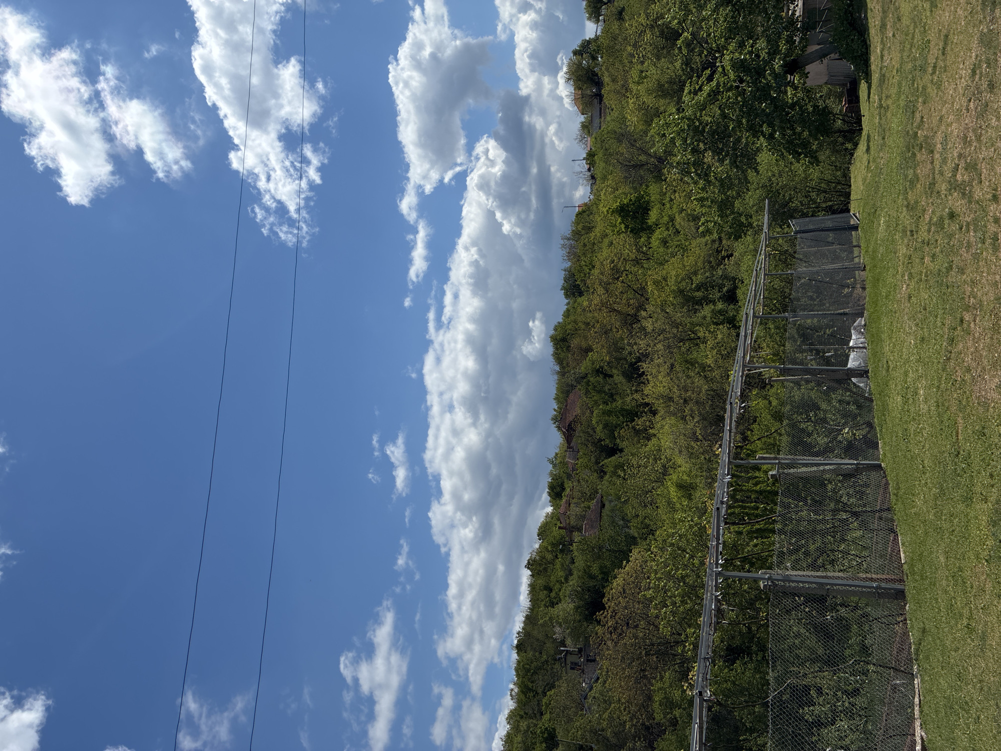 The image displays a bright, partly cloudy daytime landscape, likely in Bokilovtsi, Bulgaria. The upper portion of the frame is dominated by a clear blue sky, interspersed with numerous fluffy white cumulus clouds. Two distinct, dark power lines stretch horizontally across the sky, suggesting utility infrastructure.
Below the sky, a lush, green hillside covered densely with deciduous trees forms a significant part of the midground. Several houses or buildings with reddish-brown roofs are partially visible peeking through the tree canopy on the hillside, indicating a settlement within the wooded area.
In the foreground, a tall chain-link fence runs horizontally across the bottom and mid-section of the image, separating a well-maintained grassy area on the right from the dense trees on the hillside. The fence has a sturdy metal framework or support structure. The grass appears neatly mowed.
The overall scene suggests a pleasant, sunny day in a natural or semi-rural environment, with human habitation integrated into the hilly, forested landscape. There are no people visible, and no specific activity or event is taking place beyond the static view of the landscape. No visible text is present in the image.