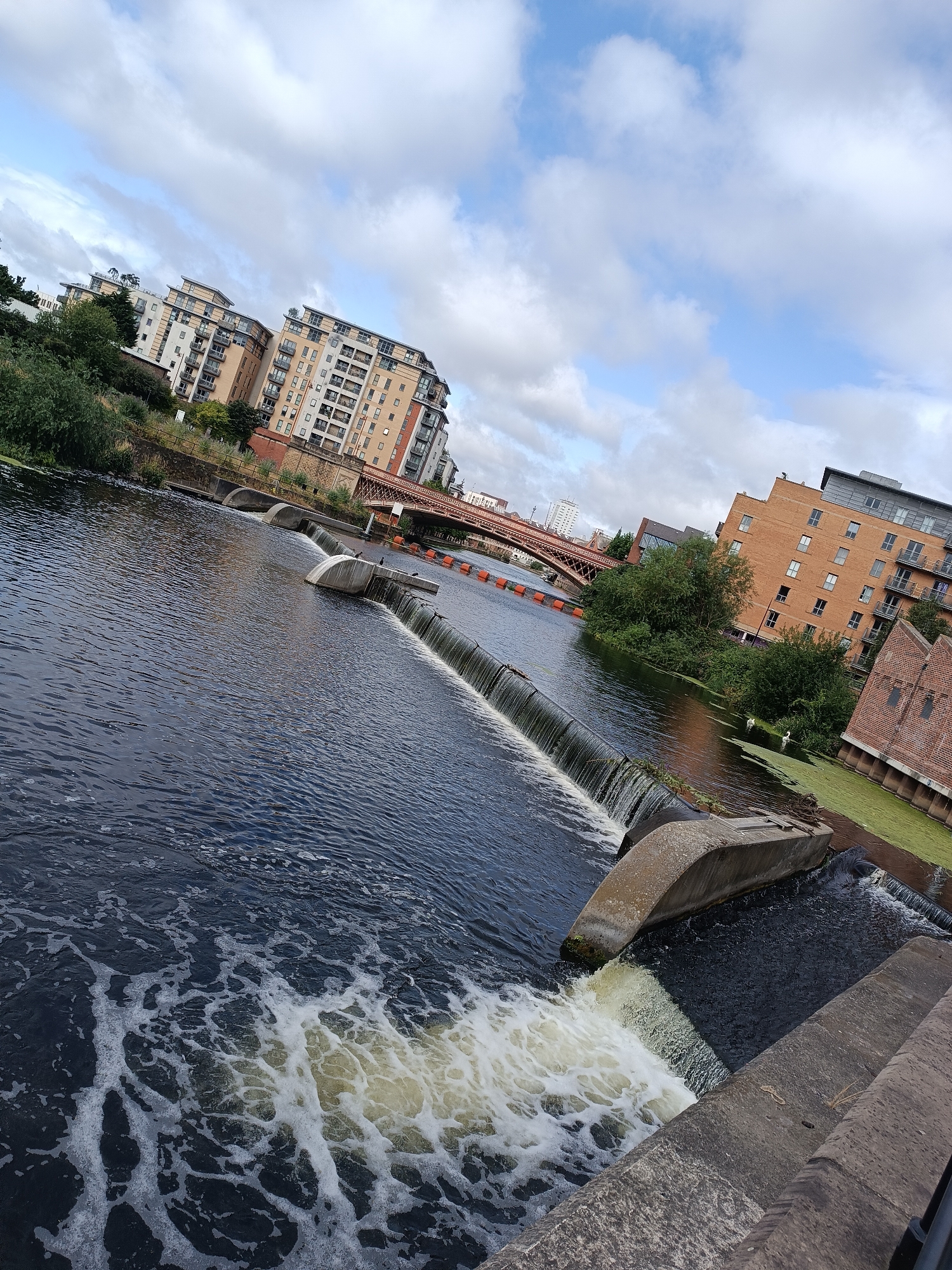The image captures a view of the River Aire flowing through the city of Leeds, United Kingdom, with a small weir in the foreground. The water is dark and turbulent, with white foam churning near the weir where it cascades down. Several concrete structures are visible, forming the weir and its banks.
In the background, the city skyline is dominated by modern apartment buildings with multiple balconies and windows, reflecting the urban setting. Some of these buildings are clad in light-colored brick and beige. A distinctive red metal bridge spans the river further in the distance, with orange buoys floating in the water near it. Lush green trees and vegetation are interspersed between the buildings and along the riverbanks. Two white swans are visible on the water in the middle ground, adding a touch of wildlife to the urban landscape. The sky is partly cloudy, with patches of blue visible. The image has a slight tilt, as if captured from a moving or unsteady vantage point.