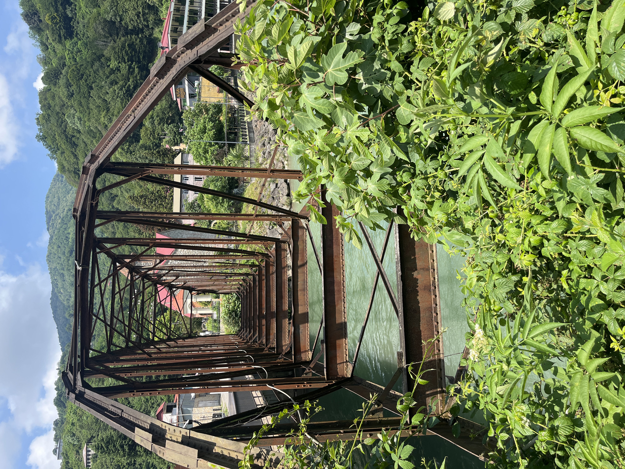The image depicts a rusty metal truss bridge spanning a turquoise river in Adjaristskali, Georgia. The bridge is old and appears to be disused, with visible signs of rust and decay on its metal structure. Through the bridge's framework, several buildings with red-tiled roofs and some with modern facades are visible in the background, nestled against lush green hills. Dense foliage, including large-leafed plants and smaller leafy bushes, encroaches on the bridge from the foreground, partially obscuring the view of the river and the bridge's lower sections. The sky above is blue with scattered white clouds. There are no people visible in the image. The scene suggests a rural or semi-rural setting where nature is reclaiming a man-made structure.
