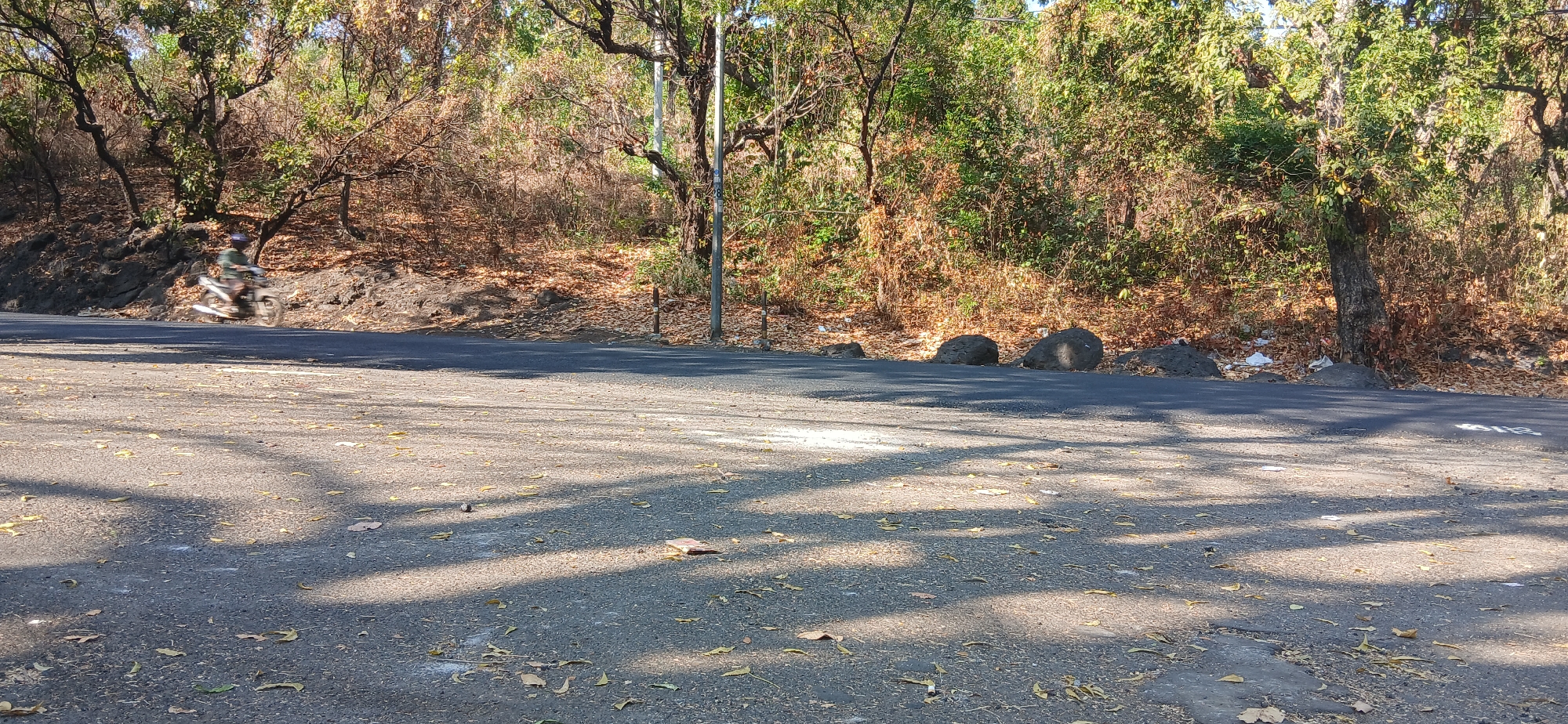 The image depicts a roadside scene in Banyuglugur, Indonesia. A motorcycle is captured in motion on a paved road that curves to the left. The road is lined with trees and dense foliage, with dry leaves scattered across the pavement. In the background, several large rocks are visible along the roadside, and a utility pole stands near the trees. The environment suggests a natural, possibly rural or semi-rural, setting within Banyuglugur.