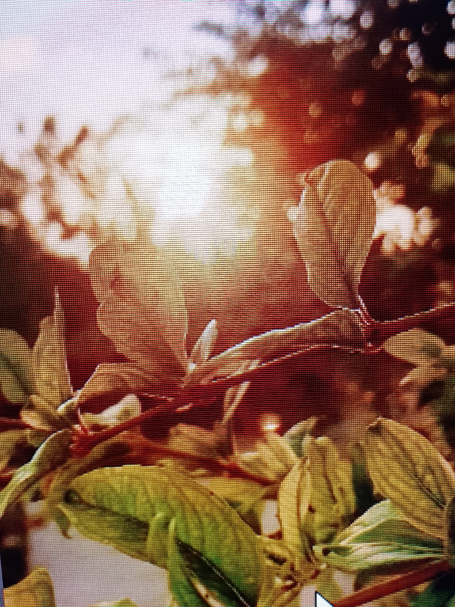 The image depicts a close-up shot of leaves with sunlight shining through them. The leaves are a mix of green and yellow hues, while the branches are a reddish-brown. The background is blurred due to the bright light. The scene appears to be outdoors during the daytime. The location in the city is Unknown, Unknown.