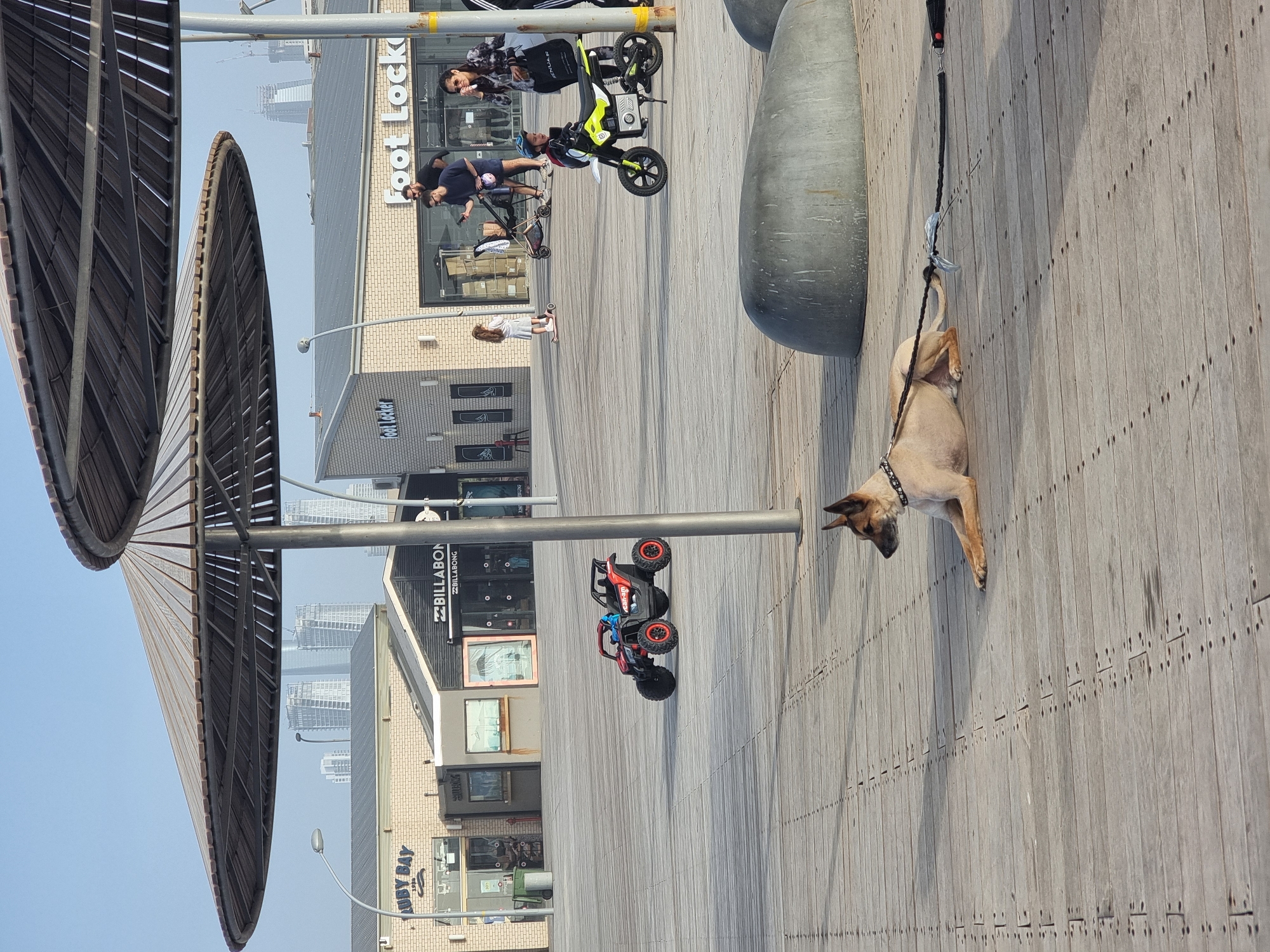 The image depicts a boardwalk scene in Tel Aviv, Israel, with several points of interest. A light brown dog with a black collar lies on the wooden boardwalk, tethered by a black leash to a metal pole supporting an umbrella-like structure on the left. In the background, storefronts of shops such as "Billabong" and "Foot Locker" are visible. People can be seen riding bikes and scooters. A red and blue child's electric car stands on the boardwalk. The scene suggests a vibrant urban environment with a mix of pedestrians and commercial activity. The sky is a clear, light blue. Tall buildings are visible in the distance, indicating the city's skyline.