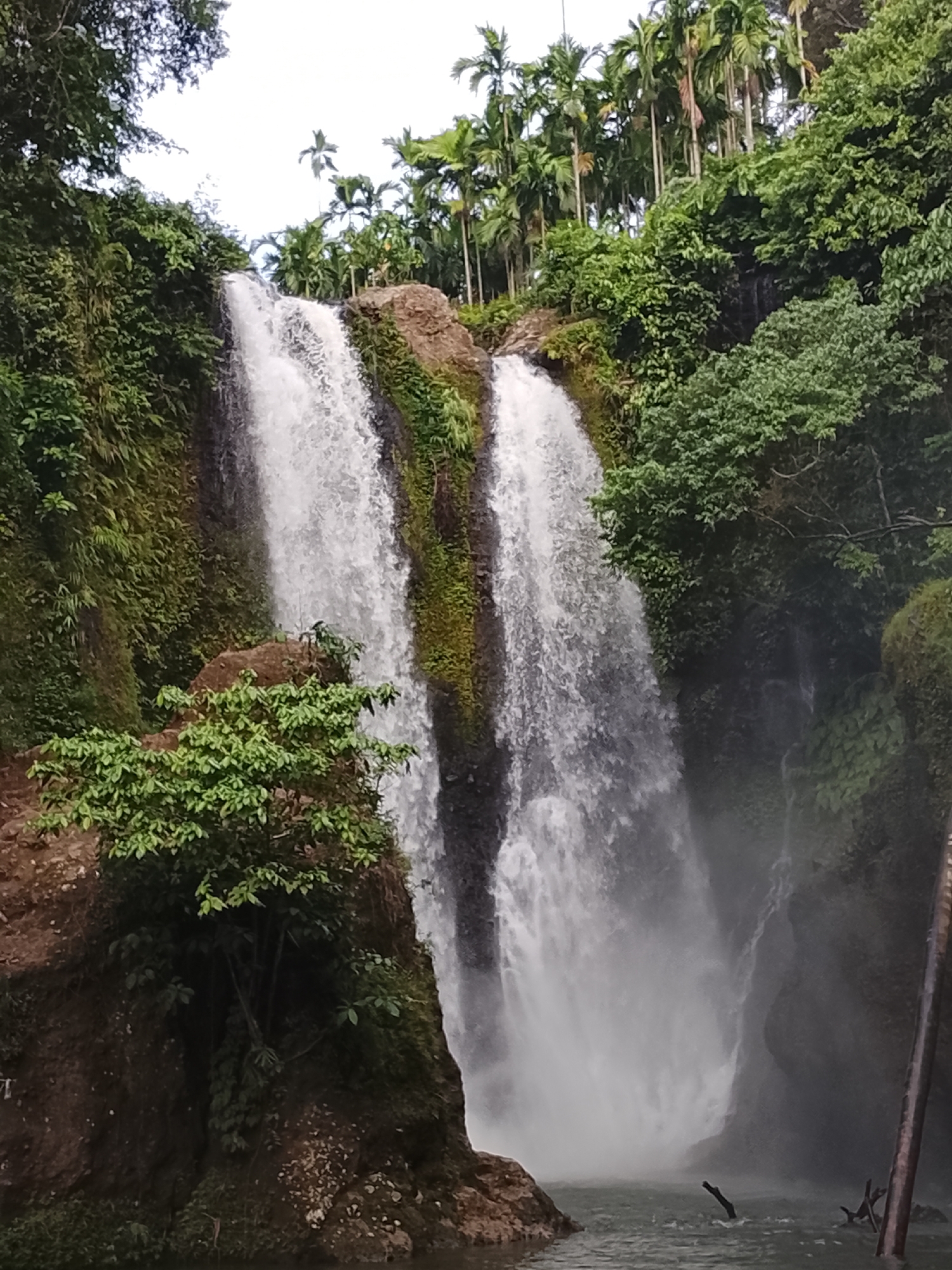The image depicts a scenic natural landscape featuring a multi-tiered waterfall cascading down a rocky, overgrown cliff face. Tall palm trees and dense green foliage frame the upper portion of the scene, indicating a tropical or subtropical environment. The water plunges into a pool at the base, creating a misty spray. The overall impression is one of a serene and vibrant natural setting. While the image captures a beautiful natural scene, it does not contain any elements that allow for specific identification of the location within the city of Lhokseumawe, Indonesia, or details about people, objects, or actions.