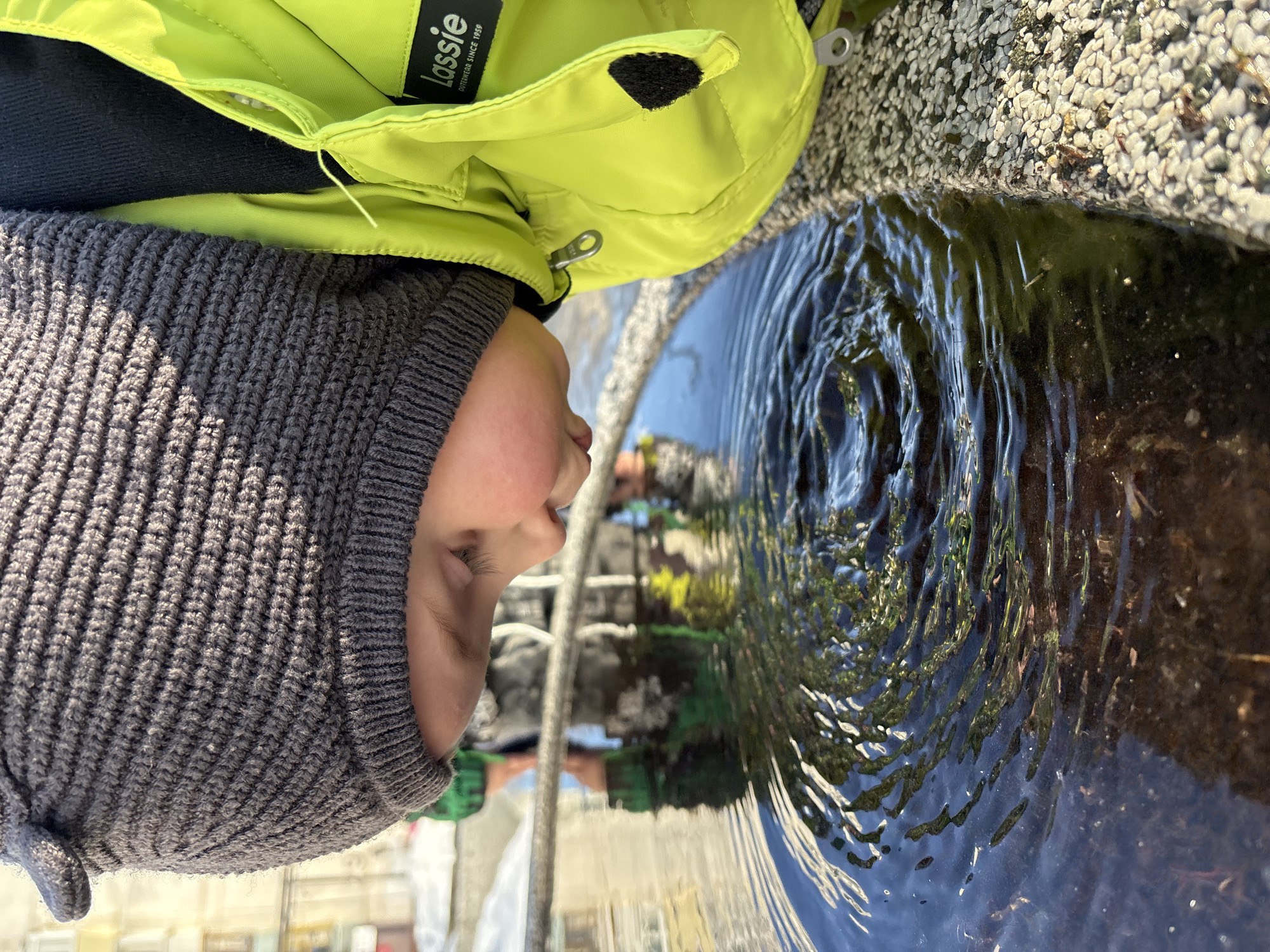 The image depicts a young child in an outdoor setting in the city of Chaikovsky, Russia, bending forward to observe a body of dark water. The child wears a dark grey ribbed knit hat with a small protrusion on the left side and a bright neon yellow-green winter jacket. A black label on the jacket's left chest pocket reads "Lassie OUTDOOR WEAR SINCE 1959." The child's face is partially visible, showing rosy cheeks and a focused downward gaze towards the water. The water exhibits concentric ripples, suggesting recent disturbance. Reflections of trees or foliage, appearing green and dark, are visible on the water's surface. The water body is bordered on the right by a light-colored, pebbled concrete or stone surface. In the blurred background, other individuals are partially visible, one wearing green. Patches of snow are discernible in the distant background, indicating a cold season. The scene is illuminated by natural sunlight.