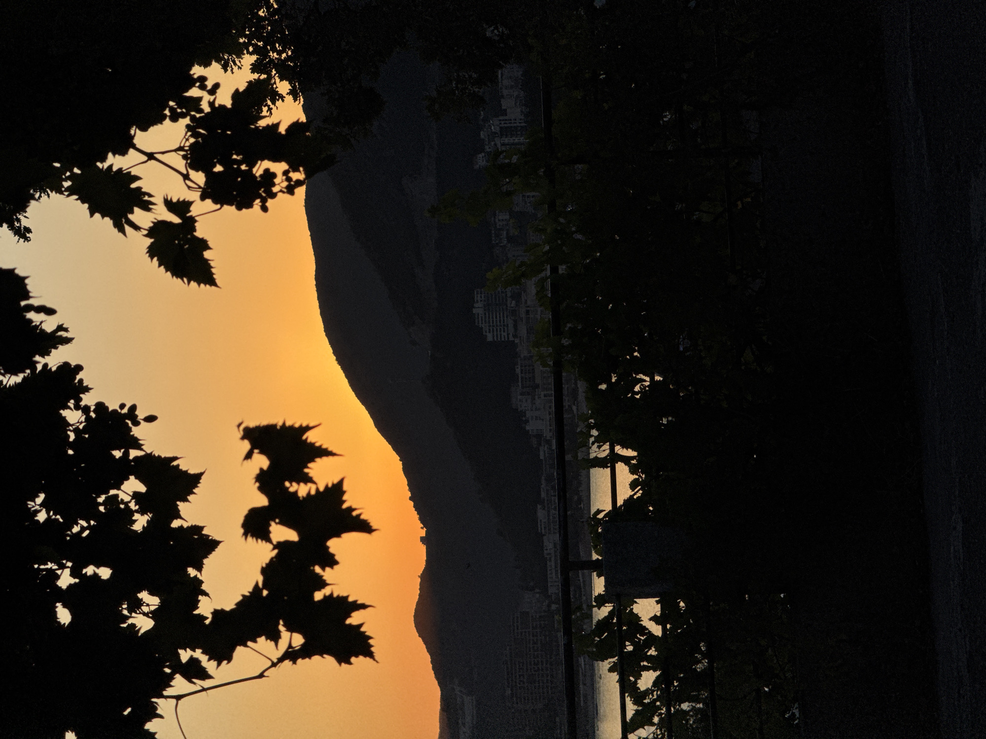 A silhouetted view of the cityscape of Trap, Montenegro, unfolds at sunset. The foreground is dominated by the dark outlines of foliage, obscuring the lower portion of the scene. A metallic railing stretches across the midground, separating the viewer from the water beyond. Buildings, appearing as clusters of dark rectangles, are visible in the distance, nestled against the slopes of dark, hulking mountains. The sky is a vibrant gradient of orange and yellow, with the sun, a bright point of light, positioned just above the mountain crest. The overall impression is one of a serene, yet slightly melancholic, coastal evening.
