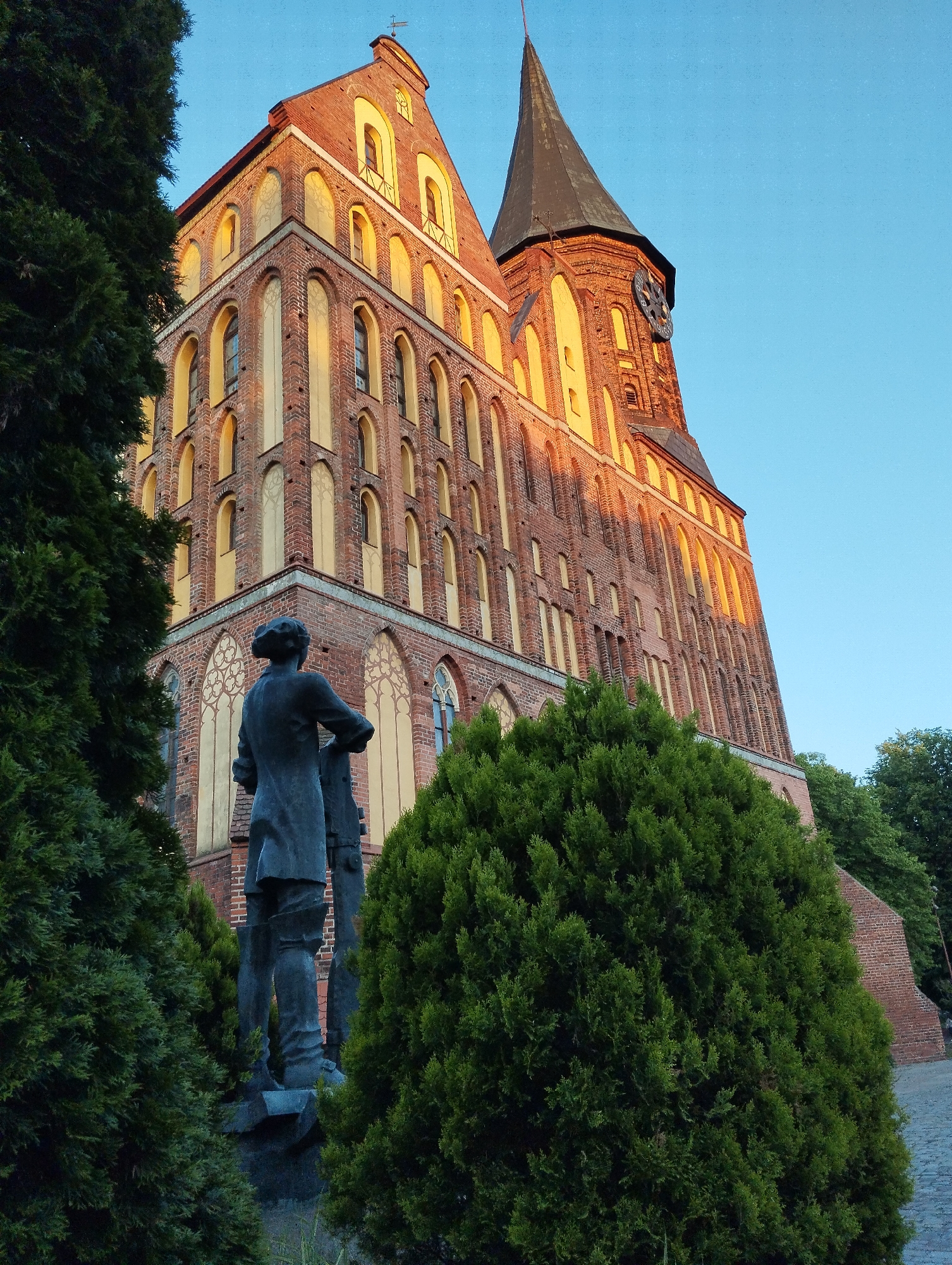 The image captures a low-angle view of the Königsberg Cathedral, a prominent Gothic Revival cathedral located on Kant Island in Kaliningrad, Russia. The warm, golden light of either sunrise or sunset illuminates the brick facade of the cathedral, highlighting its architectural details. A dark, conical spire tops one of the cathedral's towers, which also features a clock face. In the foreground, a dark bronze statue of a man, likely Immanuel Kant, stands with his back to the viewer, partially obscured by lush green coniferous trees. The statue is positioned on a stone pedestal. The sky above is a clear, vibrant blue. The foreground is dominated by the dense foliage of several evergreen trees, which frame the view of the cathedral. The ground visible in the lower right corner appears to be paved with cobblestones.