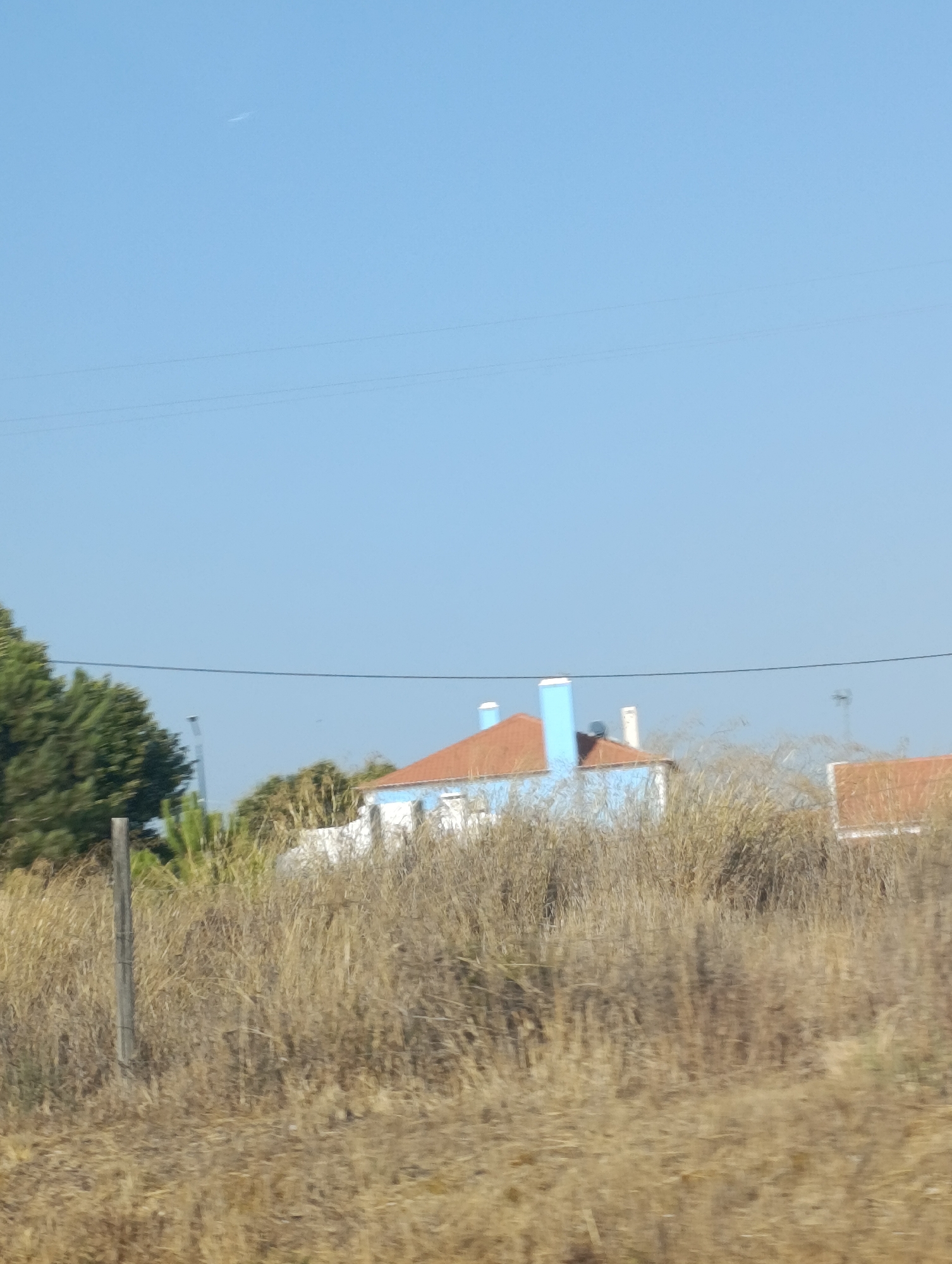 The image captures a rural or semi-rural scene under a clear blue sky in Alcácer do Sal, Portugal. The foreground is dominated by dry, tall grass and a weathered wooden post on the left. In the mid-ground, a light blue house with an orange tiled roof and a prominent light blue chimney is visible, partially obscured by the vegetation. To the right of this house, another building with an orange tiled roof is present. The background consists of more trees and vegetation, and a faint contrail can be seen in the upper portion of the sky. There are no people or animals visible in the image. The overall impression is one of a quiet, sun-drenched landscape.