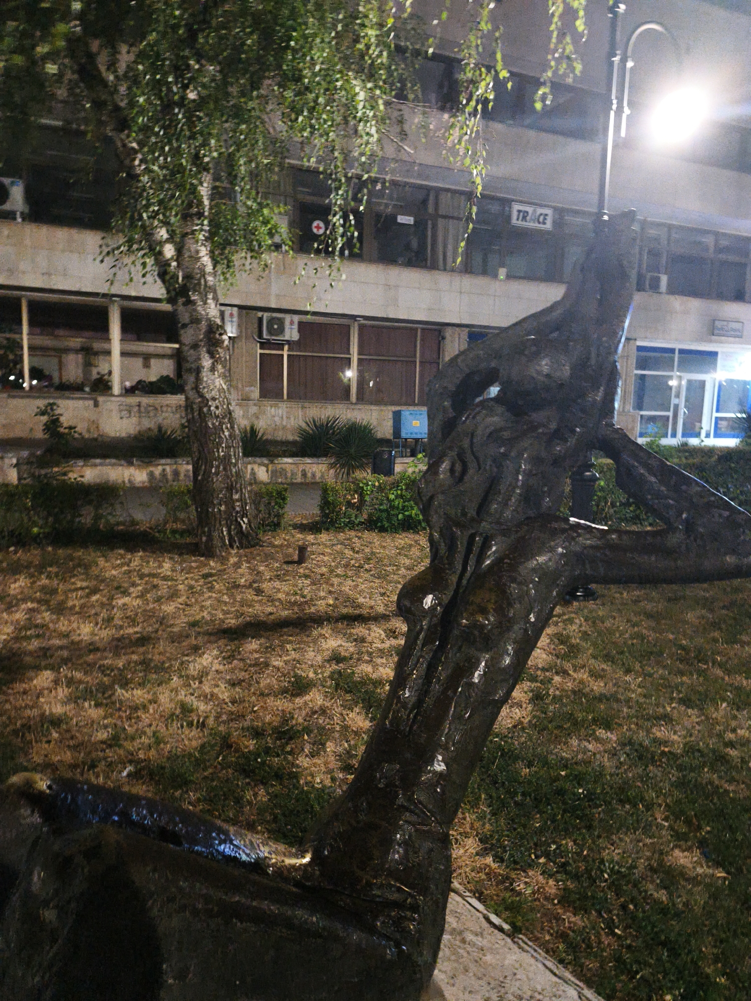 A dark, wet sculpture of a reclining human figure is in the foreground of the image, illuminated by a street lamp. The sculpture is made of a dark material, possibly bronze or metal, and appears to be weathered and aged. The figure is posed in a relaxed, almost languid manner, with one arm supporting its head and the other resting on its leg. The sculpture is situated on a concrete base, which is partially visible in the lower right corner of the image.
Behind the sculpture, there is a grassy area with scattered dry leaves and some patches of green grass. A tree with thin, pale bark and sparse foliage stands to the left of the sculpture, its branches reaching towards the top of the frame. The tree is positioned in front of a building with a light-colored facade, which features several windows. One window has a red cross symbol on it, suggesting a medical facility. Another sign visible on the building reads "TRACE".
The building appears to be a multi-story structure, with a few air conditioning units mounted on its exterior. The background is dark, indicating that the photograph was taken at night or during twilight. The overall impression is one of an urban setting, possibly a park or a public square, with a piece of art as the central focus.
The sculpture is located in the city of Lovech, Bulgaria, specifically in the area of the Former Psychiatric Hospital, which is now part of the municipal administration. The sculpture is a memorial to the victims of the former psychiatric hospital and is referred to as "The Angel".