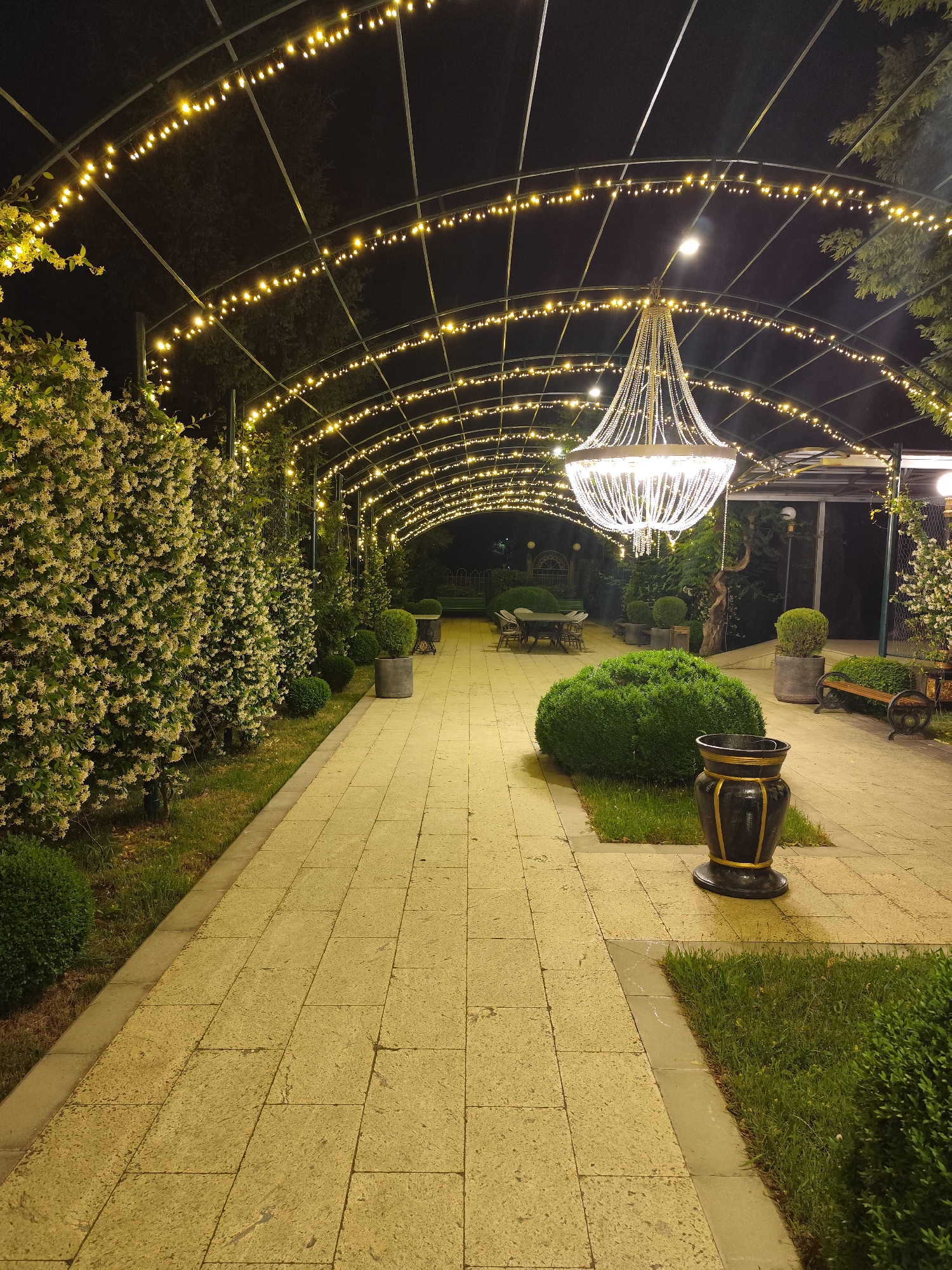 The image depicts a walkway in a garden at night, illuminated by strings of yellow fairy lights and a large, ornate chandelier hanging from an arched structure. The walkway is paved with light-colored, rectangular tiles and bordered by manicured grass and low hedges. On the left side of the walkway, there is a dense wall of flowering bushes, their white blossoms creating a soft contrast with the dark night. On the right side, there are several decorative potted plants, including a large, round topiary and a black and gold urn. Further down the walkway, a black metal bench is visible, and in the distance, a table and chairs are set up, suggesting an outdoor dining area. The overall ambiance is enchanting and well-maintained, hinting at a venue like a restaurant, event space, or a beautifully designed garden open in the evening. This scene is located in the city of Mtskheta, Georgia.