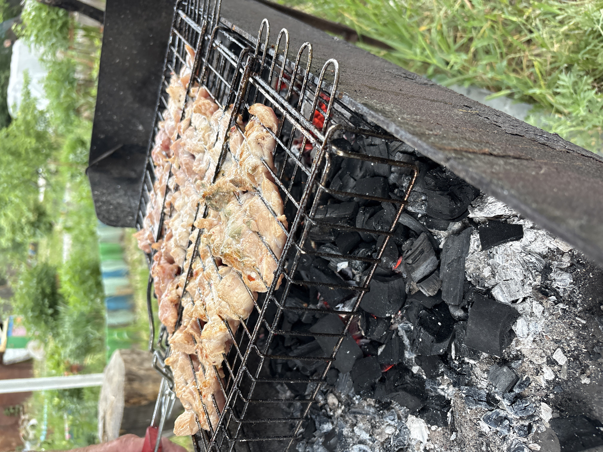 The image shows a barbecue grill filled with pieces of meat being cooked over hot coals. The grill is a black metal structure with a hinged grate holding the meat. The coals beneath the grate are a mix of black and ash-covered pieces. The location appears to be outdoors, based on the visible greenery. Although, it is not possible to determine the location within Chaikovsky, Russia with the provided image.