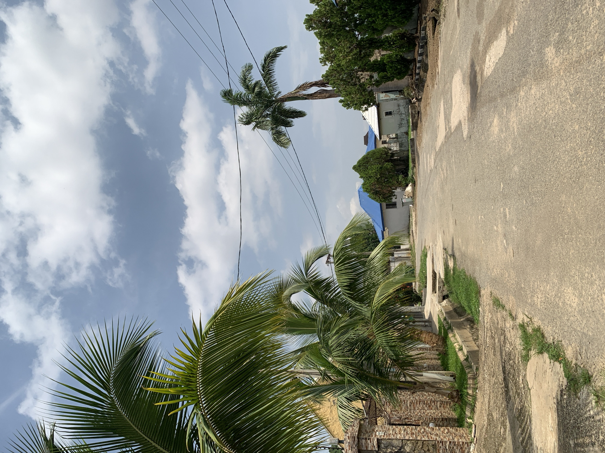 This media file depicts an outdoor scene on a sunny day, with a cloudy sky overhead. The primary subjects are palm trees, a paved road, and some buildings. In the foreground, the fronds of several palm trees are visible, their leaves casting shadows. Further back, a tall, slender palm tree stands out against the sky, with a distinct curve in its trunk.
To the right of the palm trees, there's a paved road that appears to be slightly wet in places, suggesting recent rain or dew. The road is bordered by a concrete curb and a strip of green grass. Beyond the road and grass, a low-rise building with a light-colored facade and a blue roof is visible. Another building, partially obscured by trees, can be seen further back. Lush green trees are scattered throughout the scene, adding to the tropical feel.
The image is oriented vertically, with the sky occupying the upper portion and the road and palm trees filling the lower section. Power lines are strung across the sky, running diagonally from the top left to the bottom right. There is no visible text in the image. The overall impression is one of a bright, possibly humid, tropical environment, likely in a residential or semi-rural area, consistent with the provided location context of Abuja, Nigeria. The time of day appears to be daytime, given the sunlight and shadows.