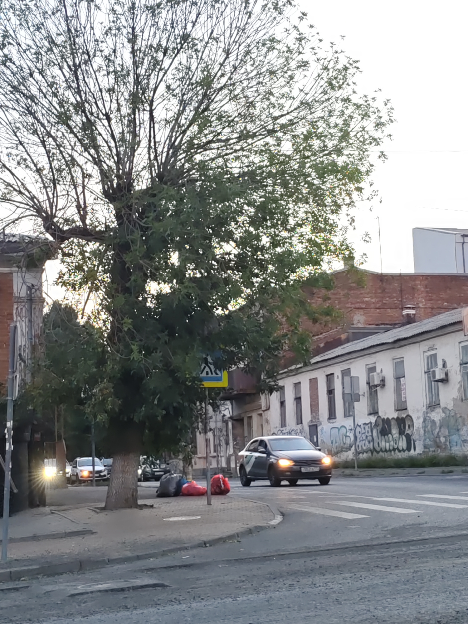 A dark-colored car with its headlights on drives across a pedestrian crossing on a city street. In the foreground, to the right of the car, are several large trash bags, two of which are red and one black. A large tree with sparse leaves stands to the left of the road, partially obscuring the view of buildings. The buildings in the background are old and appear to be in disrepair, with some showing signs of graffiti. The sky is bright, indicating it is daytime. The location is the city of Rostov-on-Don, Russia.