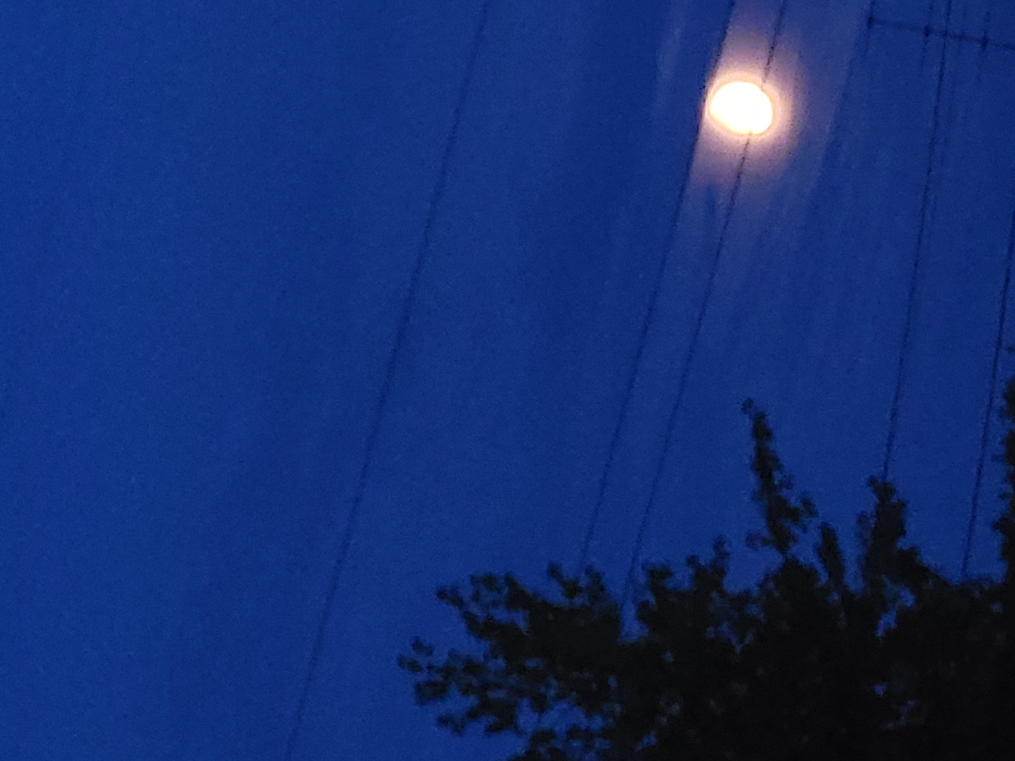 A tree in silhouette stands on the left side of the image, its branches reaching towards the top. Several horizontal lines, likely power lines, stretch across the deep blue night sky. In the lower right quadrant, a bright, luminous circle, representing the moon, is visible, partially obscured by faint clouds. The scene is set against the dark backdrop of the sky, suggesting it was taken at dusk or during the night. No people or specific landmarks of Jelgava, Latvia are identifiable in this image.