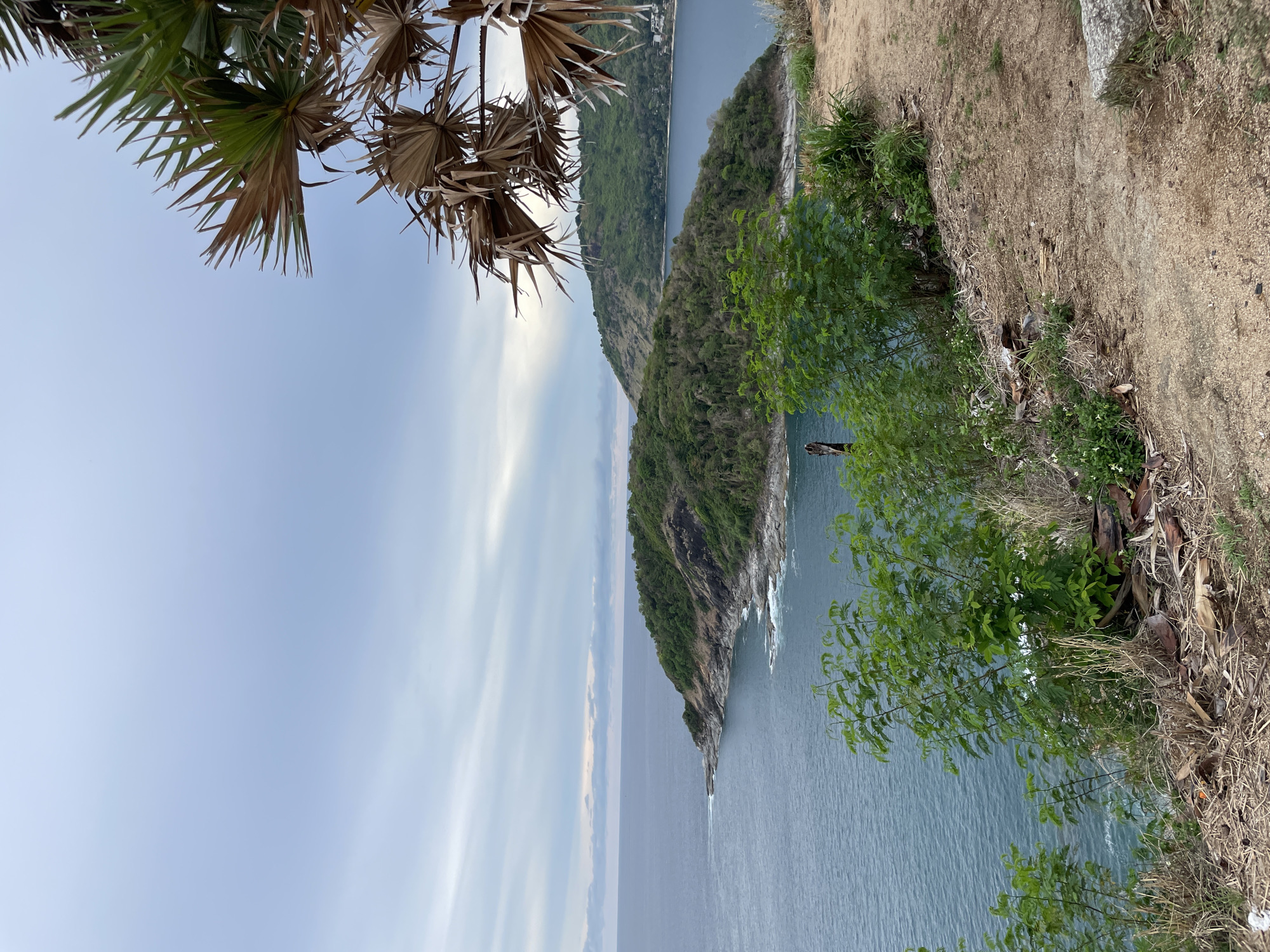 A vertical-oriented photograph captures a coastal landscape, likely in Rawai, Thailand. The scene includes a promontory jutting into the ocean, covered with dense vegetation. The ocean is visible in various shades of blue. Along the foreground, there is a cliff edge with dry grass and shrubs. Palm fronds frame the upper left corner of the image, with a cloudy sky in the distance.