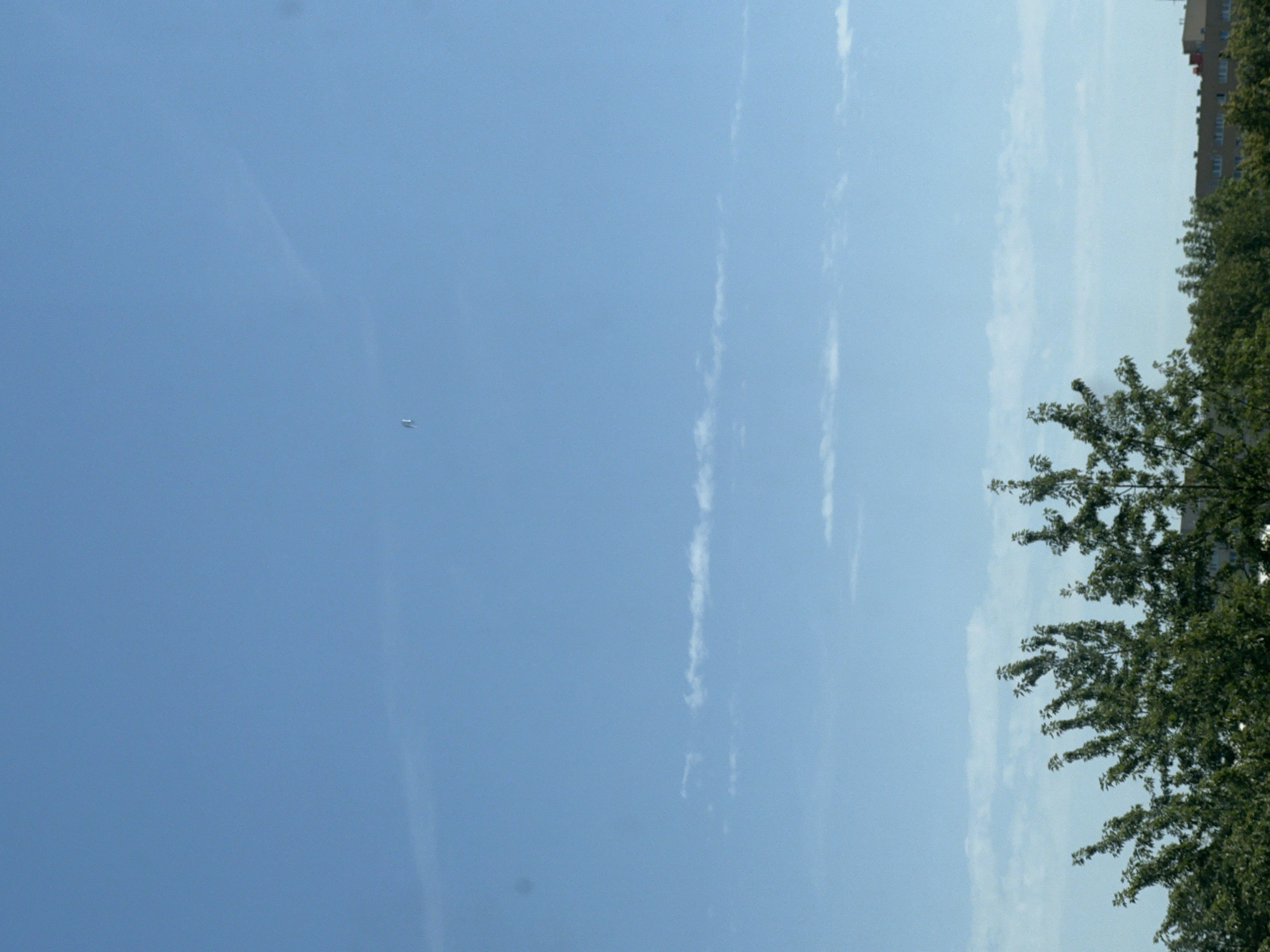 The image depicts a clear blue sky with a few wispy clouds scattered across it. In the upper left quadrant of the sky, a small, white object, possibly a drone or a distant aircraft, is visible. Below the sky, the tops of lush green trees with dense foliage form a border across the lower part of the frame. In the background, beyond the trees, a multi-story building with a light-colored facade and dark windows can be seen. The building appears to be in an urban setting, consistent with a city like Warsaw, Poland. The overall scene suggests a bright, sunny day.