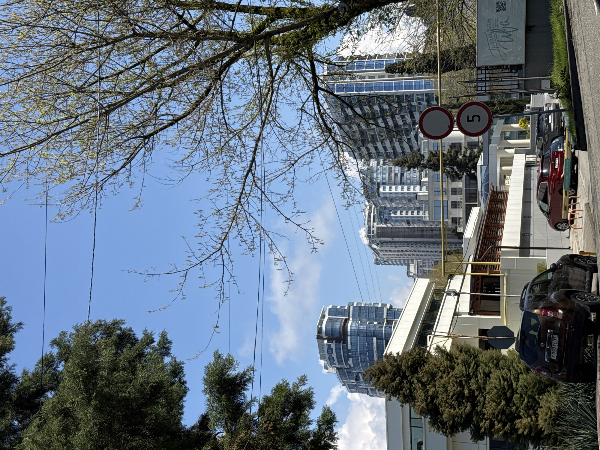 The image depicts a street scene in Sochi, Russia. The view is upward toward high-rise buildings with a clear blue sky partially obscured by tree branches. A "5" speed limit sign is present. Several parked cars line the street, and a building and sign for "Проходная Аива" are visible.