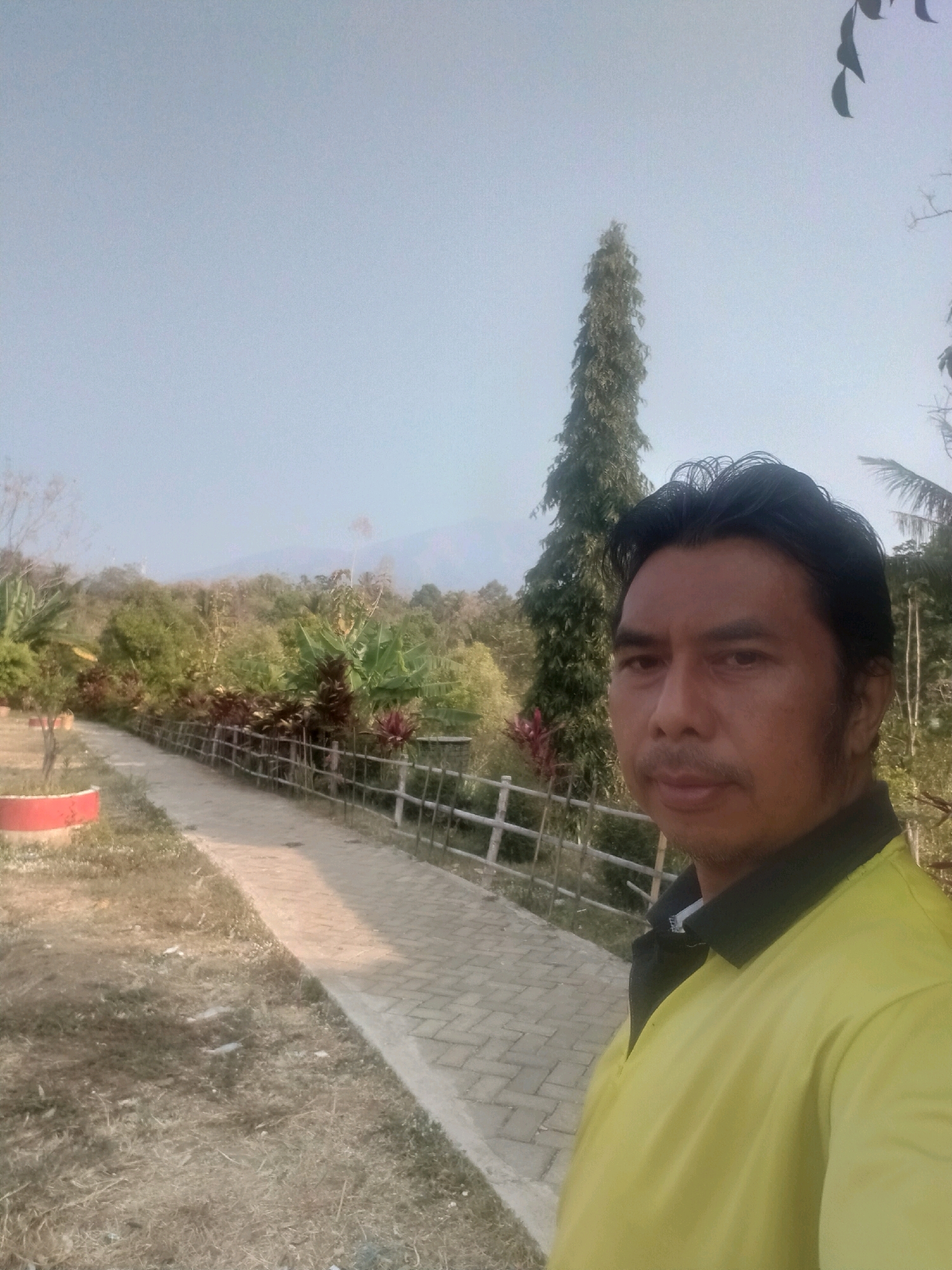 A medium-shot, selfie-style photo shows a man with dark hair and a mustache in the foreground, looking toward the camera. He is wearing a yellow polo shirt with a black collar. Behind him, a paved walkway curves to the left, bordered by a rustic wooden fence. Lush green foliage, including trees and ornamental plants, lines the walkway. In the distance, a tall, slender evergreen tree stands prominently against a pale, hazy sky. Further back, a mountain range is faintly visible, shrouded in mist. The ground on the left side of the walkway is covered in dry grass and patches of dirt. A circular, red-rimmed planter is visible in the lower left corner. The scene appears to be an outdoor park or recreational area.
