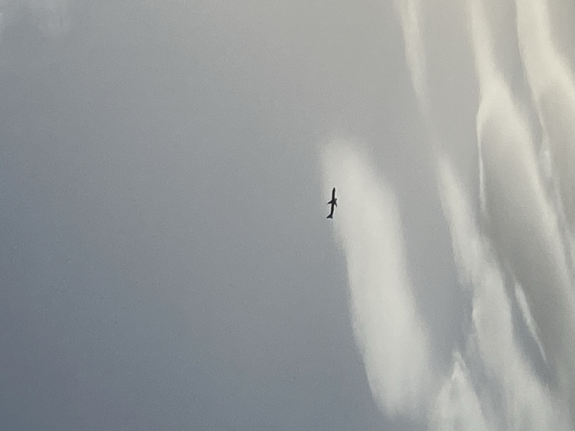 A small aircraft flies in a cloudy sky. The location in the city of Budva, Montenegro, cannot be determined from the image.