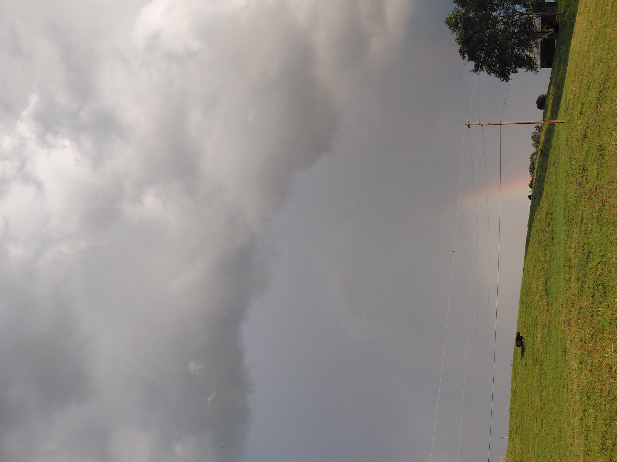 The image depicts a rural landscape with a grassy hill under a dramatic, overcast sky. A faint rainbow is visible in the middle ground. A single dark-colored cow stands on the left side of the hill. Several power lines traverse the scene horizontally. A wooden utility pole stands on the right side of the hill, accompanied by trees and a dark-colored structure, possibly a shed or barn. The environment appears to be a pasture in a rural area. The location is identified as Paris, United States.