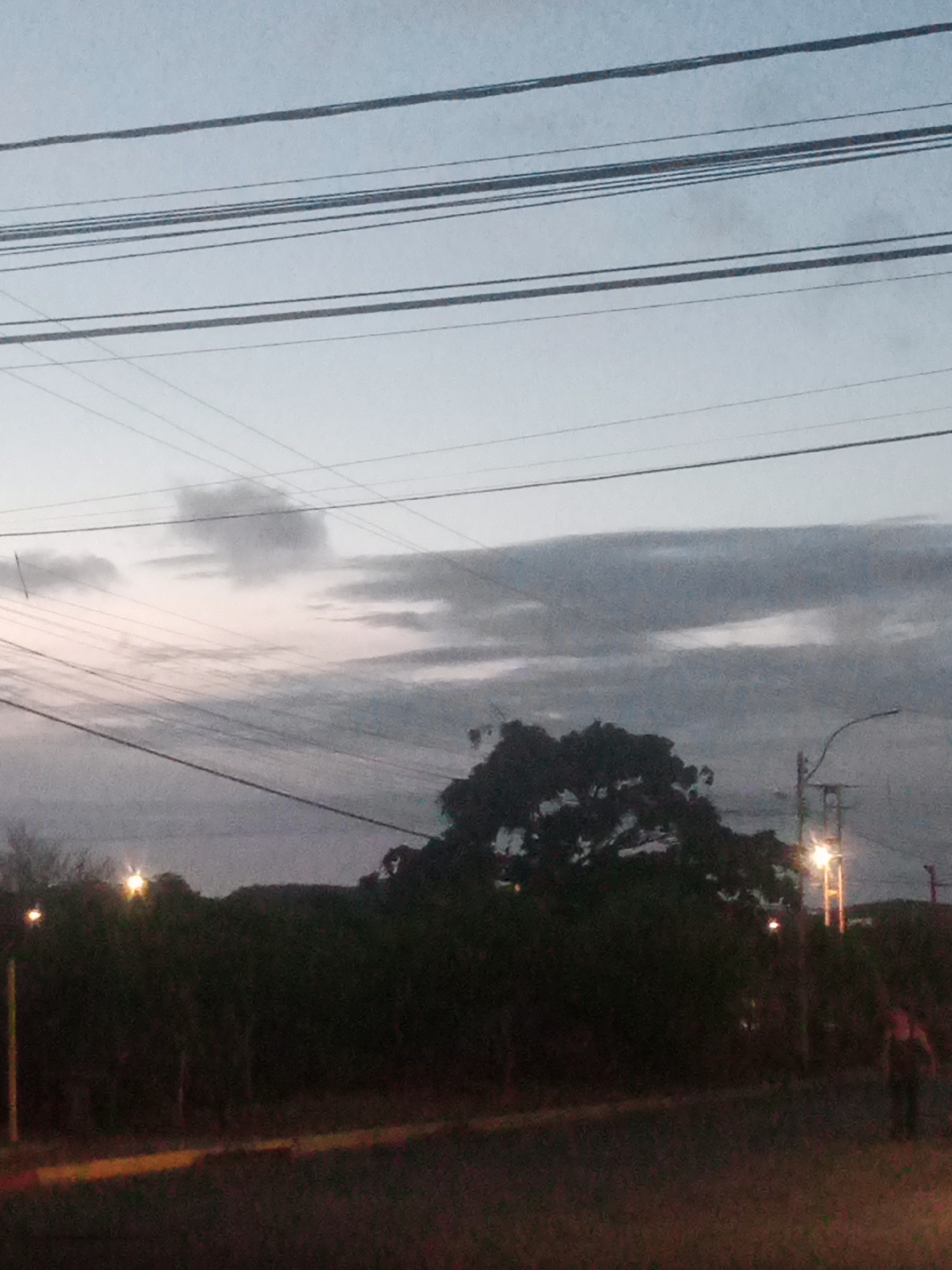The image captures an outdoor scene at dusk, likely in Altagracia, Venezuela, characterized by overhead power lines crisscrossing a muted, overcast sky. A silhouette of dense foliage dominates the lower half of the frame, with a large tree visible on the right side. A street lamp illuminates the scene with a warm glow, and a blurred figure of a person is seen walking away from the camera on a paved surface. The overall lighting suggests a low-light condition, possibly just after sunset.