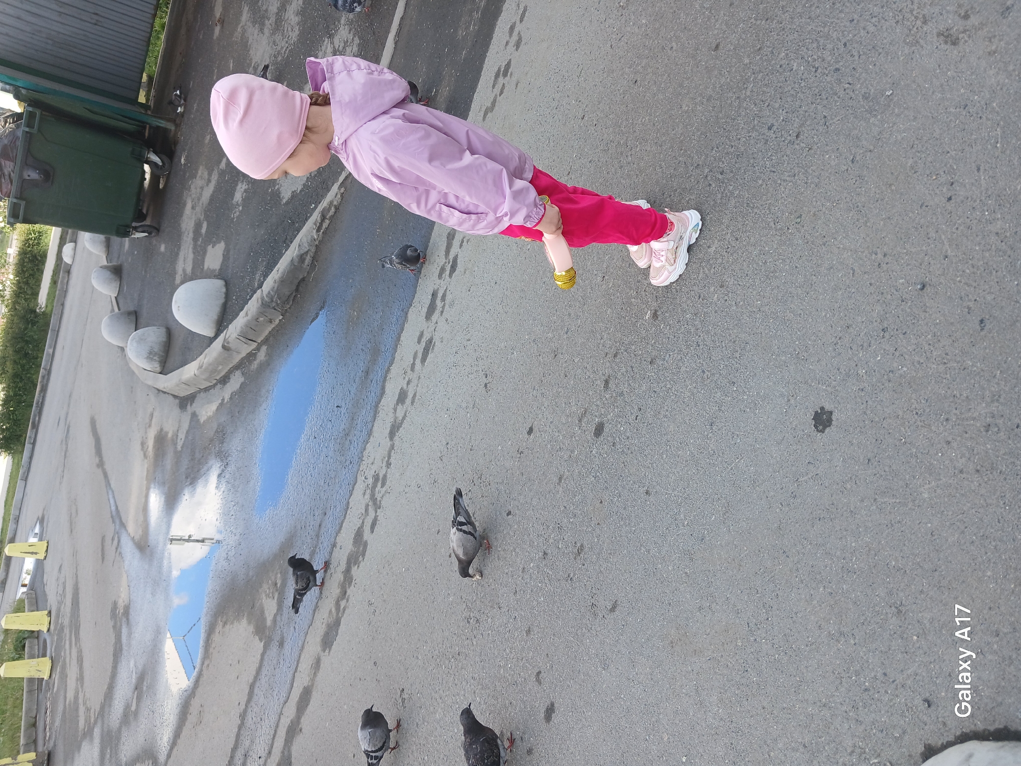 The image displays an outdoor scene featuring a young child, several pigeons, and puddles on an asphalt surface. A child, likely a girl, is prominently featured, dressed in a light pink hooded jacket, bright pink trousers, and pink and white sneakers. She holds a doll with a golden-yellow lower part in her left hand and is looking downwards, possibly at the pigeons or the puddles.
The setting appears to be an urban or suburban paved area, such as a street, sidewalk, or parking lot. Several puddles are visible, reflecting a clear blue sky and a light-colored building structure, indicating daytime with bright weather, likely after a recent rainfall. Multiple pigeons are scattered across the ground, walking near the child and the puddles, seemingly foraging.
In the background, to the left, a large, dark green wheeled dumpster is visible next to a metal fence. A line of grey, semi-circular concrete barriers follows a curb along the edge of the paved area. The overall lighting suggests it is daytime. The image includes a watermark "Galaxy A17" in the lower right corner. The location is specified as Yekaterinburg, Russia. The child's posture suggests curiosity and engagement with her immediate environment.