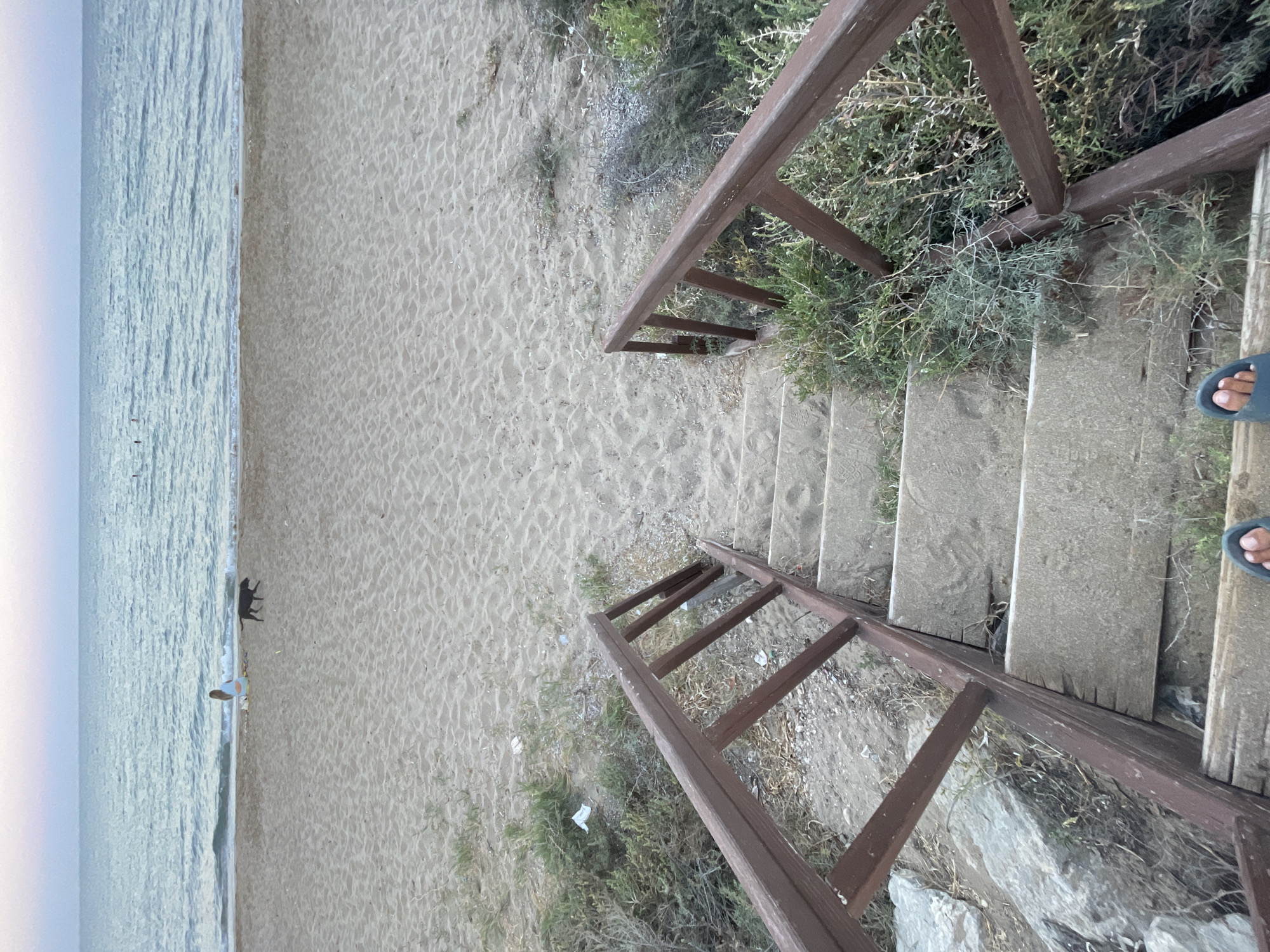 A beach scene in Trikomo, Northern Cyprus. In the foreground, a wooden staircase with a brown railing descends towards the sandy beach. The stairs appear worn, with some overgrown vegetation. At the bottom of the stairs, two feet wearing blue flip-flops are visible. The beach stretches out towards the sea, which has gentle waves. In the middle ground, a person is sitting on the sand near the water, and a black dog is running on the beach. The sky is overcast with soft pastel colors. Scattered debris, including white plastic, is visible on the sand near the vegetation.