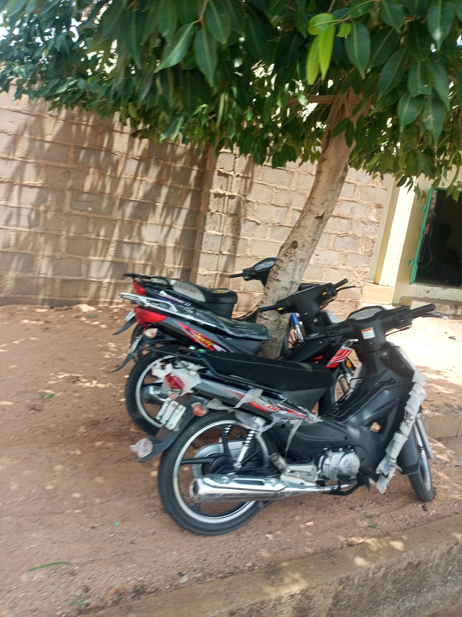 Memory