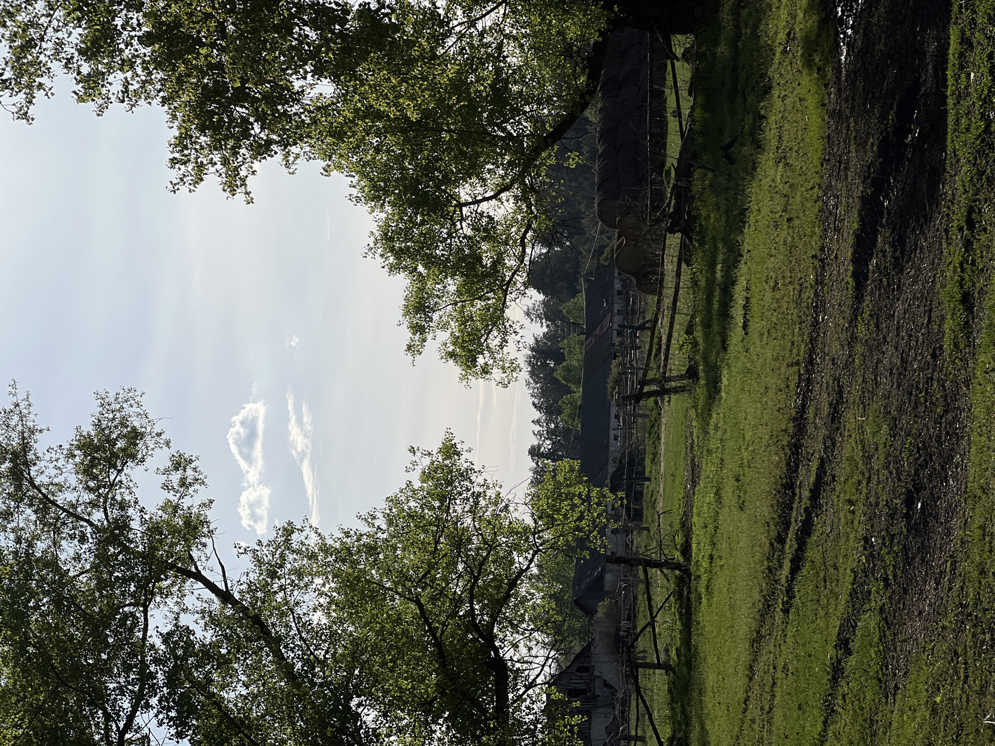 The image depicts a rural scene near Sloboda, Russia. The foreground consists of a grassy field with patches of bare, muddy ground. A wooden fence runs through the field. Beyond the fence, several buildings with dark roofs are visible, suggesting farmhouses or other rural structures. Trees with green foliage frame the top and sides of the image, obscuring the sky which shows some scattered clouds.