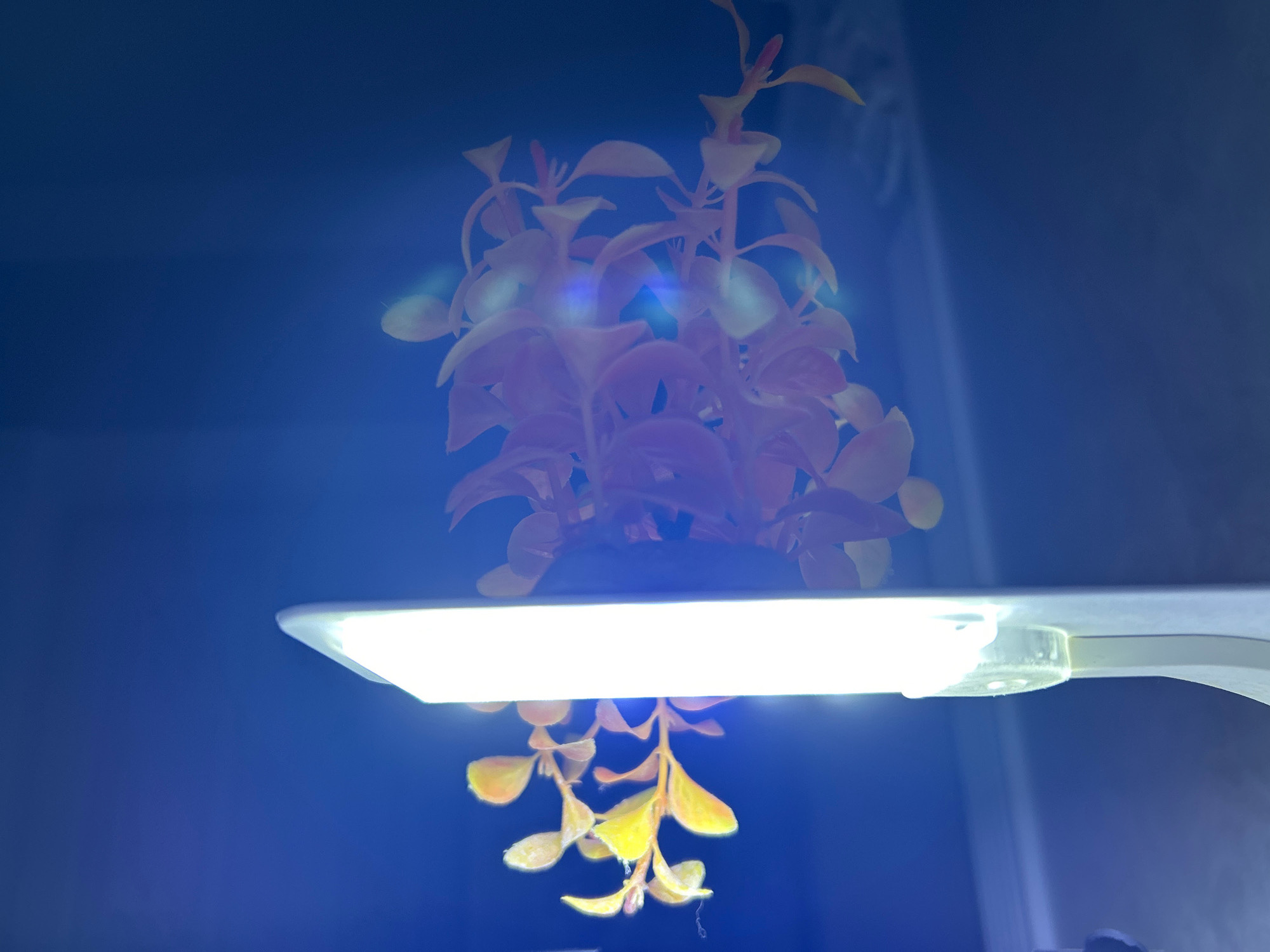 The image shows an artificial plant with orange and yellow leaves suspended in water. A bright white LED light bar is positioned horizontally below the plant, illuminating it from beneath. The background is a dark, deep blue, suggesting an aquarium or similar enclosed aquatic environment. There are some light flares present due to the bright light source. The image does not contain any specific details that would allow for a precise location within the city of Grozny, Russia.