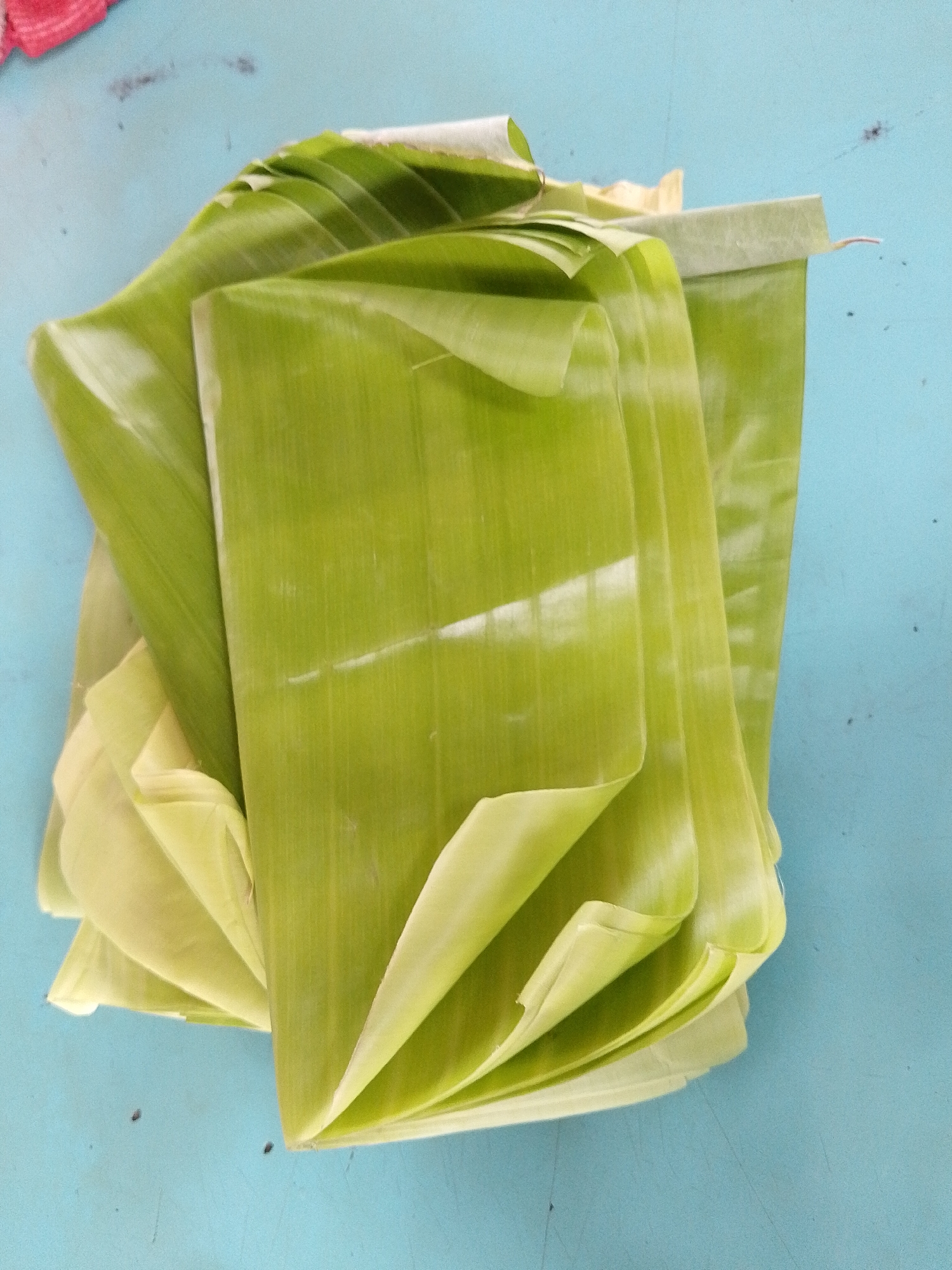 The image shows a stack of fresh green banana leaves arranged on a light blue surface, possibly a table. The leaves are layered and slightly bent, with some folded over others. The surface has a few small dark specks. The lighting suggests it is indoors or in a shaded outdoor area, with soft shadows. The scene is simple and focused on the banana leaves.