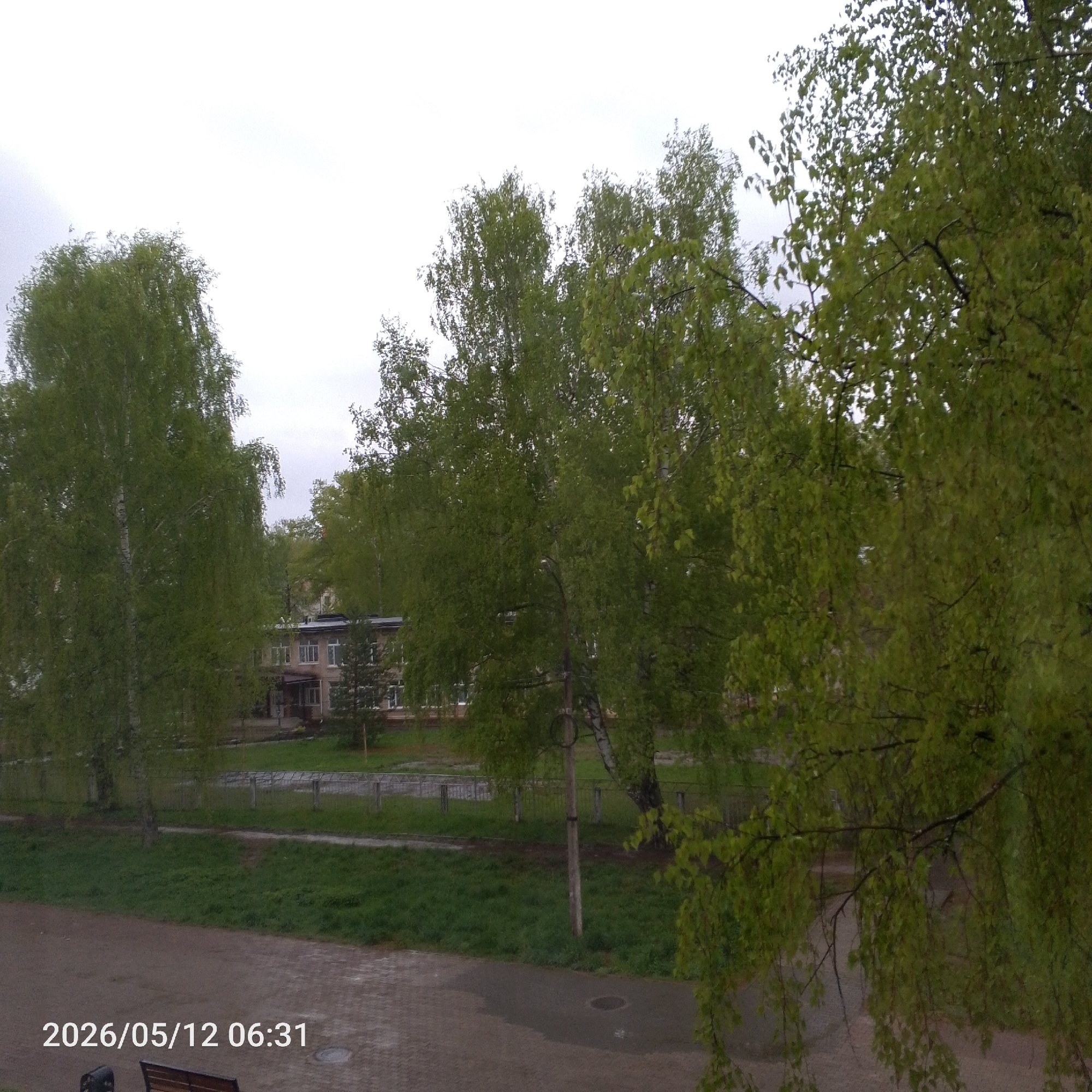The image depicts a park-like setting, potentially in Unknown, Unknown. Several trees with fresh green leaves are prominent, some with characteristic white bark, typical of birch trees. Between the trees is a view of a two-story building with multiple windows and a brick façade. The building is situated behind a short metal fence bordering a green lawn area. In the foreground, a paved path is visible, and the lower portion of a park bench can be seen. The date and time "2026/05/12 06:31" are stamped at the bottom left of the image. The sky appears overcast, suggesting it might be early morning or an overcast day.
