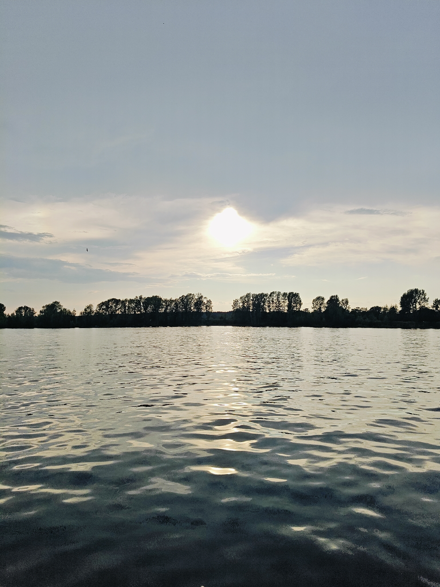 The image depicts a serene natural scene on a body of water, likely a river or lake, with a treeline and a sky filled with clouds. The sun is partially obscured by clouds, casting a soft, diffused light that creates reflections on the water's surface. The water is calm, with gentle ripples that catch the light. In the distance, a dense line of trees forms a silhouetted horizon. The sky is a soft blue-gray, with wisps of clouds scattered across it. A small, dark speck, possibly a bird in flight, is visible against the sky. The overall impression is one of tranquility and natural beauty. The provided context states the location is Noviy, Russia, but this information cannot be visually verified from the image itself.
