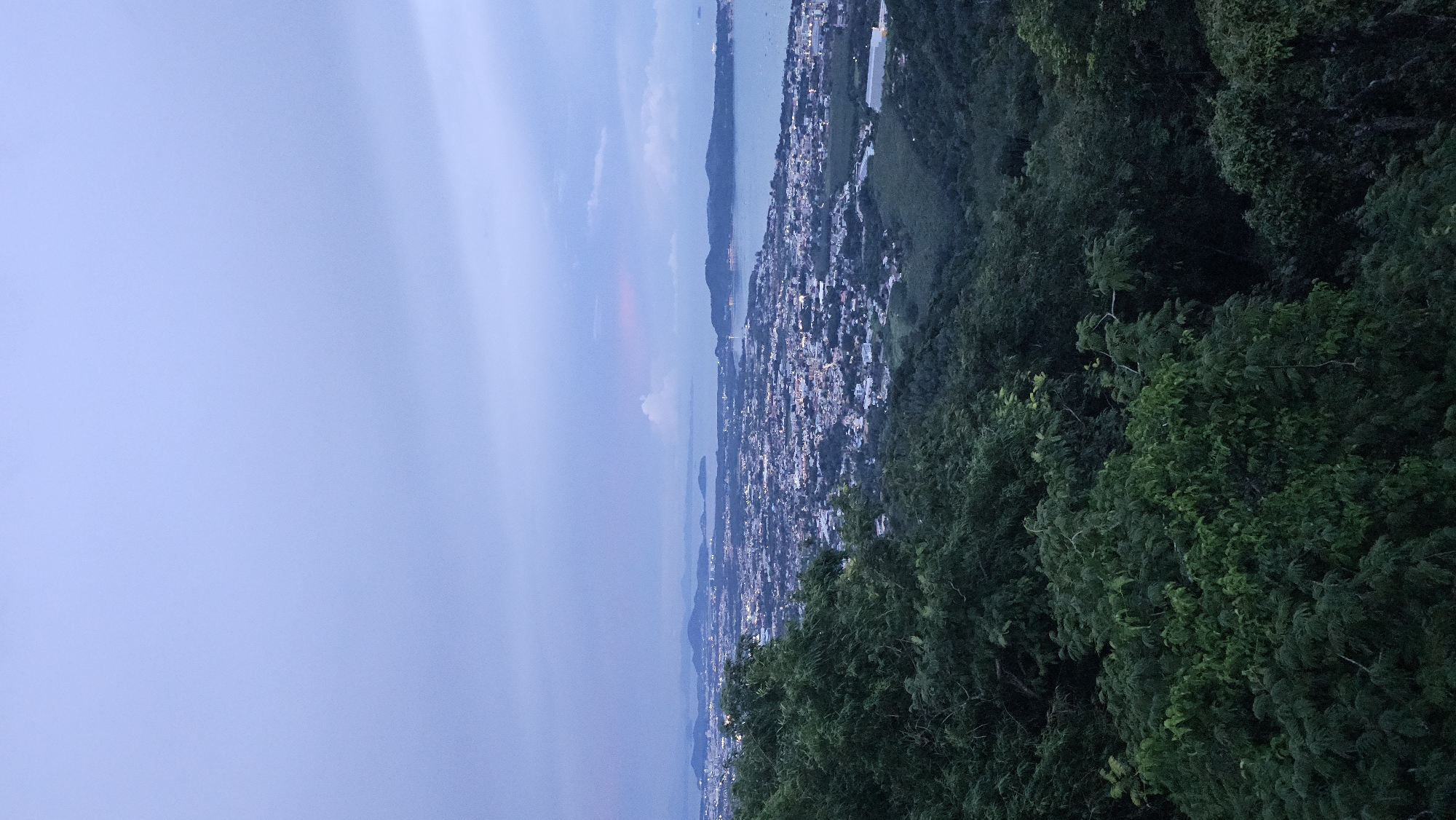 This is a high-angle, vertical, medium-shot photograph taken from a verdant hilltop overlooking the city of Karon, Thailand, during twilight. The sky is a soft gradient of pale blue and gray, with hints of pink and lavender near the horizon. Dense, dark green foliage in the foreground obscures the lower portion of the image.
The city of Karon sprawls across the middle ground, a tapestry of buildings illuminated by countless small, bright lights, indicating nighttime. The urban landscape extends towards the coast, where a calm, dark body of water, likely the Andaman Sea, is visible. Islands and peninsulas are discernible in the distance, silhouetted against the twilight sky. The overall impression is one of serene transition from day to night over a populated coastal area.