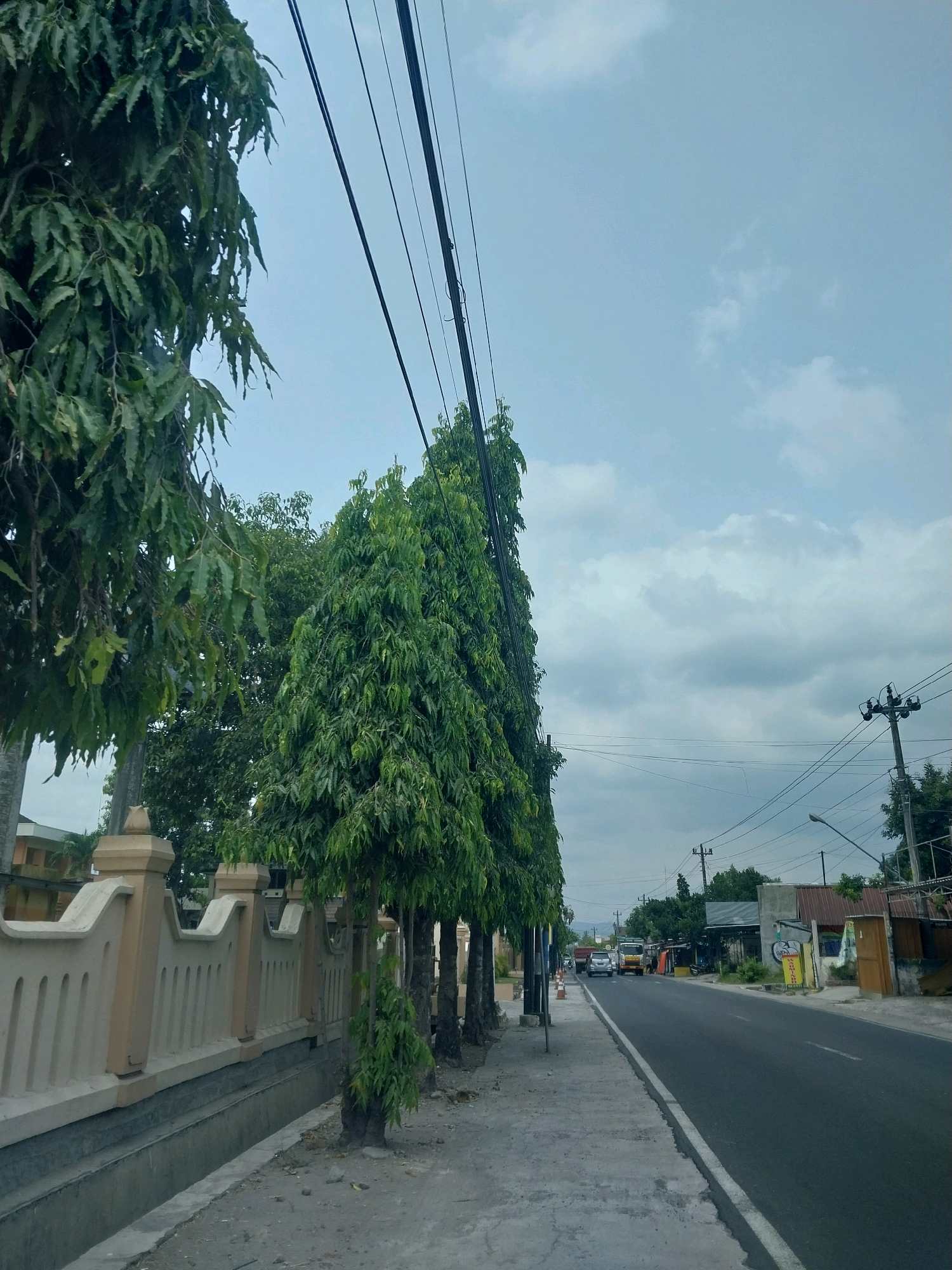 The image shows a street scene in Tirtomartani, Indonesia. On the left side of the frame is a decorative concrete fence with regularly spaced vertical indentations. Next to the fence, a row of tall, slender trees with dense green foliage lines the sidewalk. The sidewalk is made of concrete slabs and has a drainage ditch running alongside it.
The street itself is paved with asphalt and has a white line marking the edge of the lane. Several vehicles are visible on the road, including cars and a truck. Buildings with various roof types and signage line the right side of the street. Utility poles with numerous overhead wires are present, indicating the presence of electricity and communication lines. The sky is overcast with a light blue hue and scattered clouds. The overall impression is of a moderately busy street in a semi-urban or suburban area.