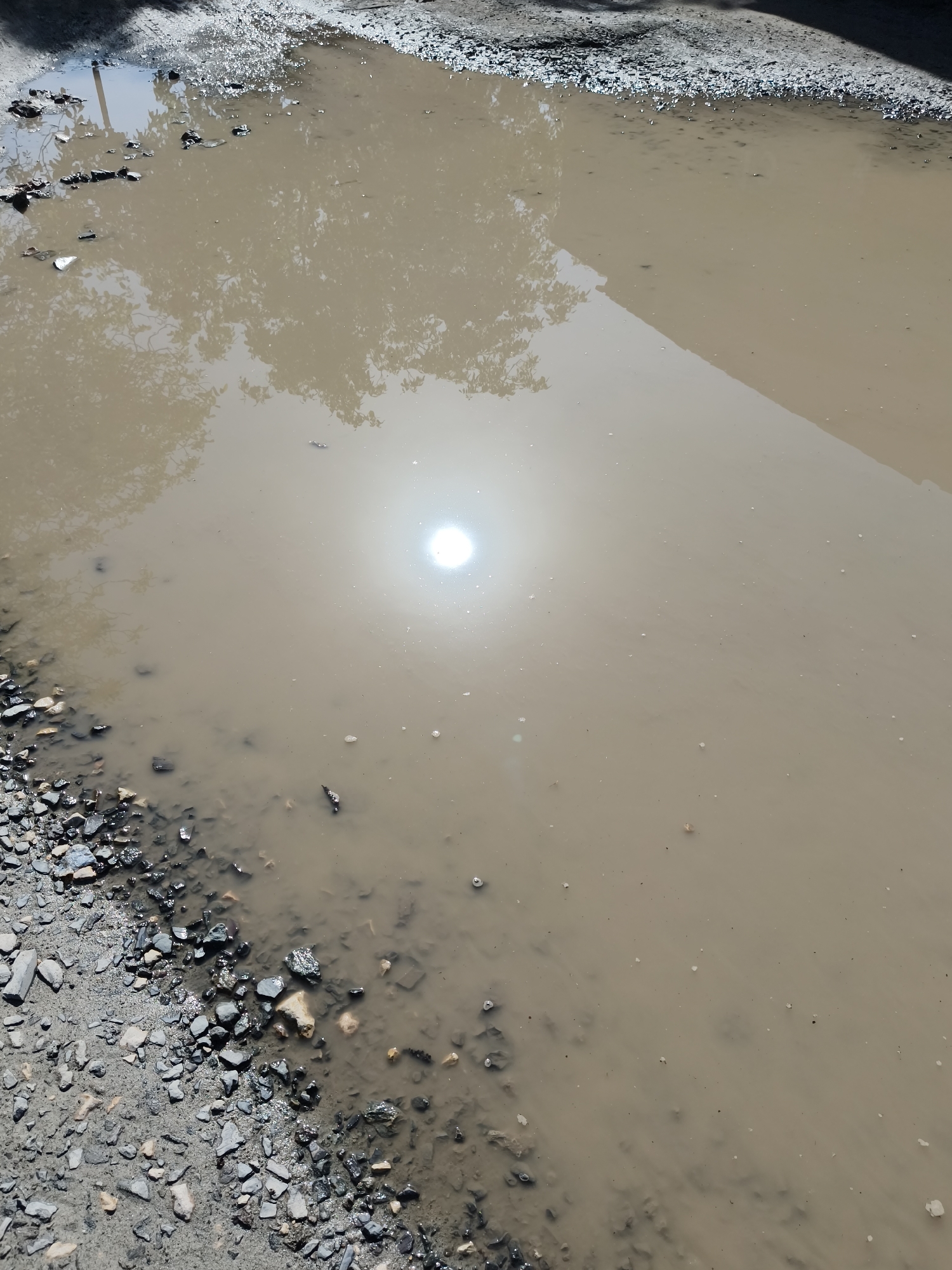 The image shows a large puddle of muddy water on the side of a road. The puddle reflects sunlight and the blurry shapes of trees and a building. The edge of the road is visible, composed of dirt, small rocks, and gravel. It is impossible to verify the city of Kryvyi Rih in Ukraine as the location without additional information.