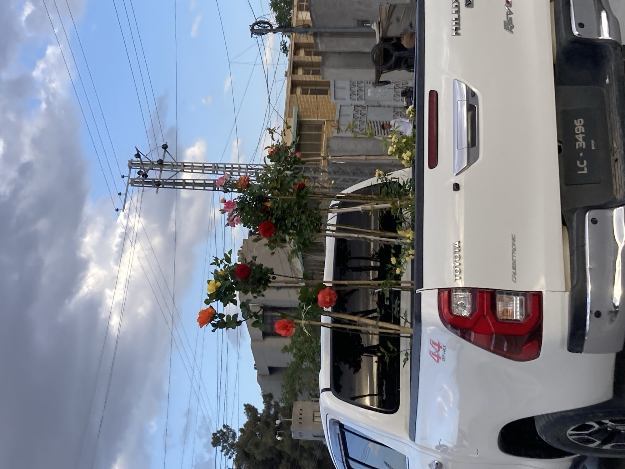 The image depicts a white Toyota Hilux Revo pickup truck with colorful rose bushes in the truck bed, parked on a street in Quetta City Tehsil, Pakistan. The truck's license plate reads "LC-3496". The background features buildings, utility poles, and an overcast sky. A person in a white shirt is visible near the buildings.