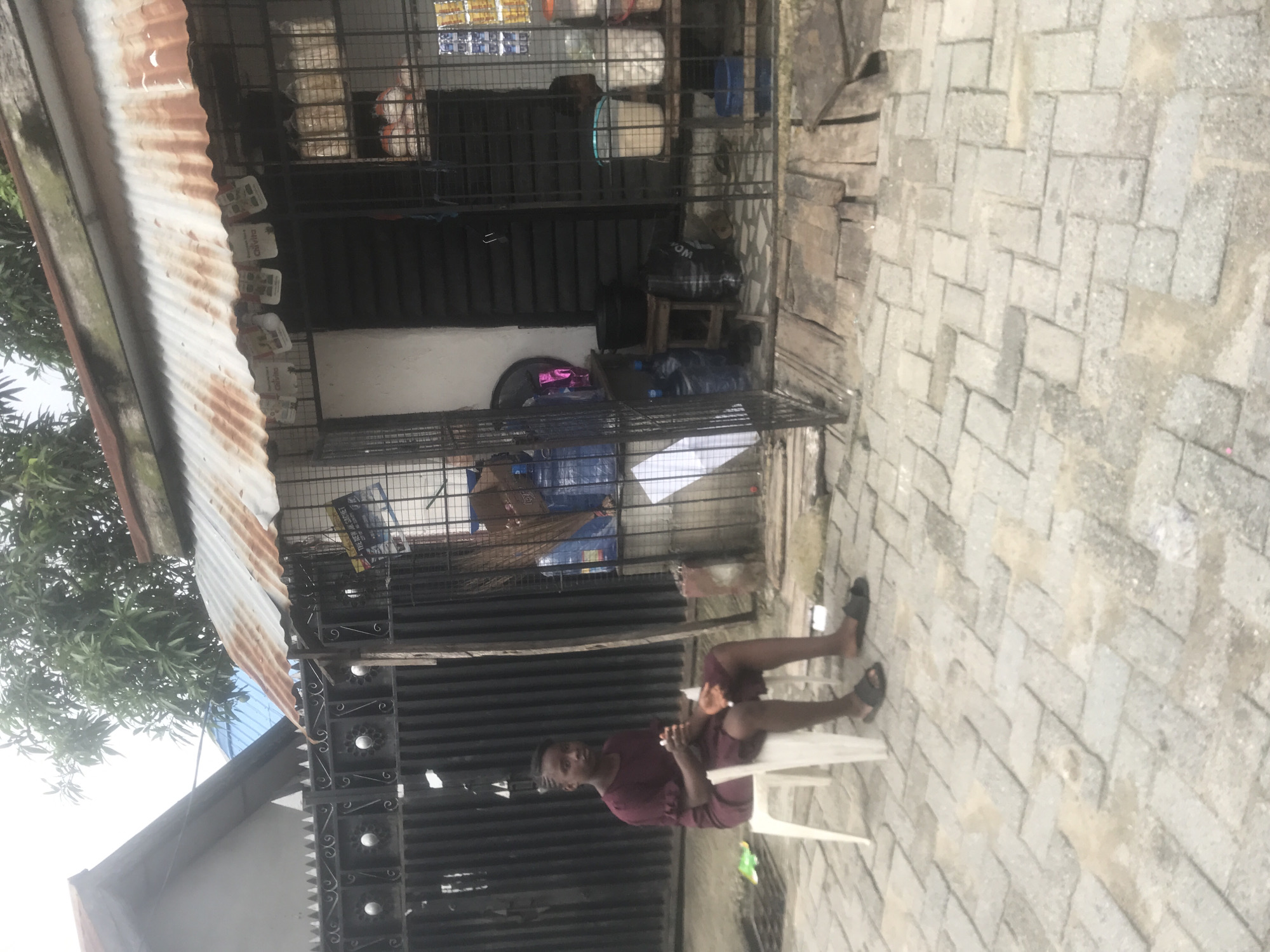 The image depicts a roadside shop or stall located in the city of Unknown, Unknown, adjacent to a residential property. In the foreground, a young dark-skinned individual is seated on a white plastic monobloc chair on a paved surface of interlocking gray bricks. The individual wears a maroon short-sleeved dress and dark slip-on sandals. They hold a small, light-colored object in both hands and look directly forward.
To the right, the shop features a weathered, rusted corrugated metal roof with white and green "Chivita" branded sachets or banners hanging from its front edge. The shop's entrance is secured by black metal security grates, one section of which is open. Inside the shop, shelves display numerous clear plastic bottles filled with a light-yellow liquid, and various plastic buckets (white, light blue) containing goods. Large blue plastic water containers are visible near the entrance. A black slatted door is set further back within the shop opening. The ground immediately in front of the shop consists of an elevated, rough wooden plank platform.
To the left of the shop, a tall black metal gate with decorative circular and pointed elements secures the entrance to an adjacent property. Beyond this gate, a portion of a house with a light-colored wall and dark roof is visible. The background features dense green foliage from trees under an overcast sky. The paved ground shows some areas of dampness or discoloration. Another individual is partially visible inside the shop, obscured by the security bars.