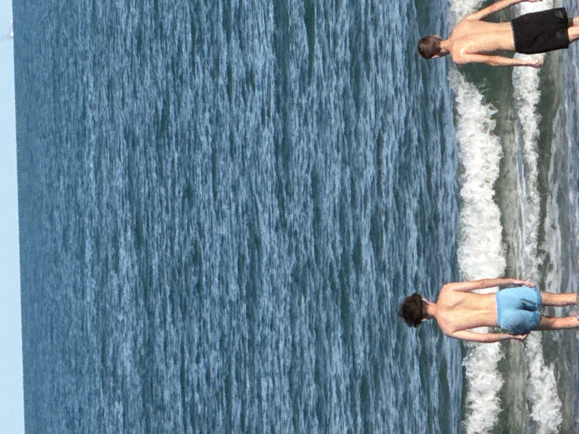 Two young males are standing in the ocean, facing away from the camera. The male on the left is wearing blue swim trunks and the male on the right is wearing black swim trunks. Both males have their backs to the viewer, and they are both looking out at the ocean. The ocean is blue and there are waves. The sky is also blue. The scene appears to be a beach on a sunny day.