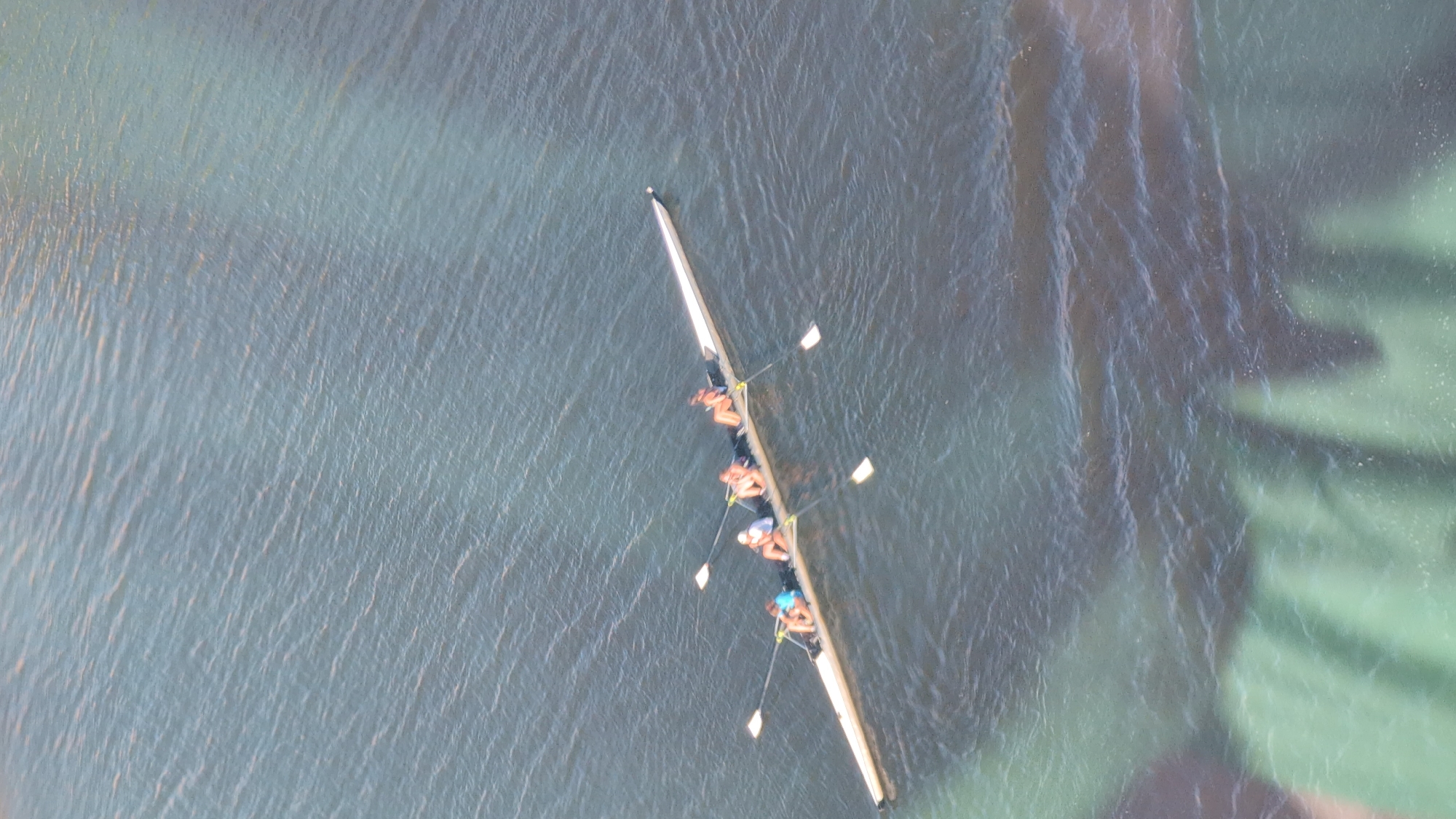 The image is an aerial view of a rowing team on a body of water. There are five people in a long, narrow rowing shell, each holding an oar. They appear to be in the middle of a race or training session, with their oars in the water. The water is dark and choppy, with some lighter reflections on the surface. The rowing shell is white and sleek. The surrounding environment is not clearly visible, but it appears to be a natural setting, possibly a river or lake. The lighting suggests it is daytime, with the sun casting some shadows on the water. The scene conveys a sense of athletic activity and teamwork. There is no visible text in the image.