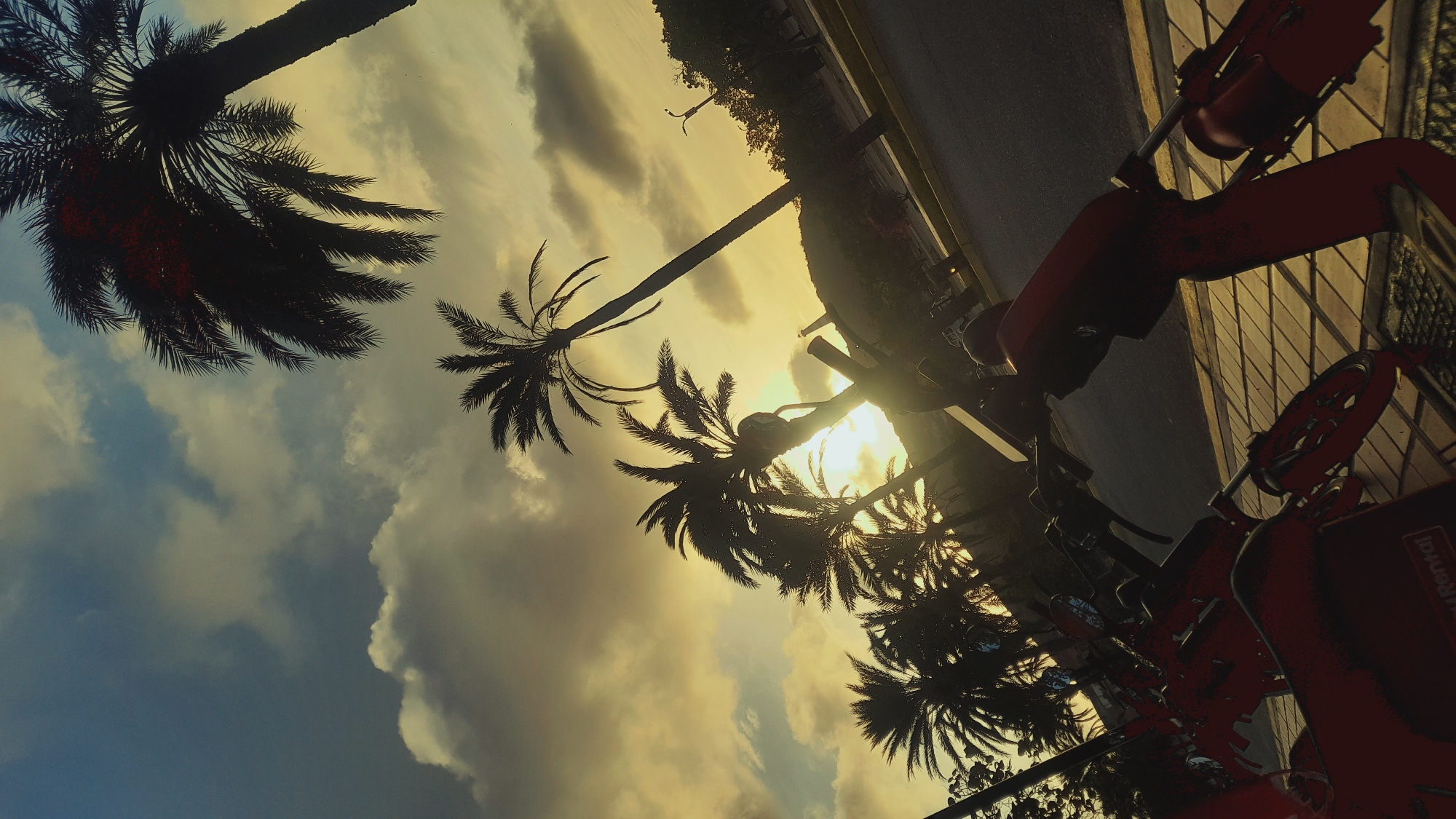 The image captures a sunset scene with silhouetted palm trees against a cloudy sky, in the coastal town of Pedro González, Venezuela. In the foreground, several red rental scooters are parked on a tiled sidewalk, some with visible branding. The road runs alongside the sidewalk, with a few distant trees and a hillside in the background. The low angle of the sun creates a warm, golden hue across the sky and casts long shadows.