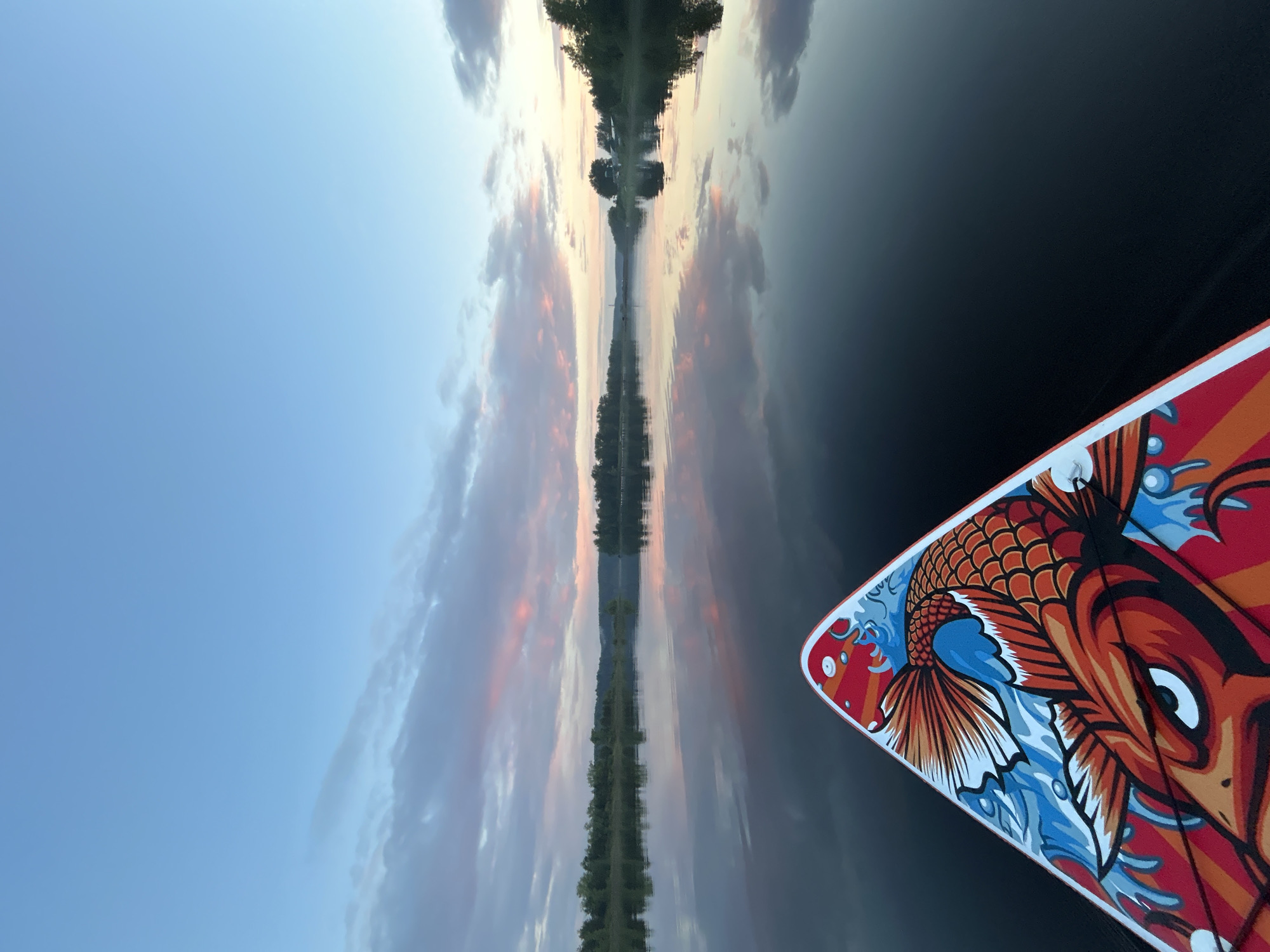 The image shows the front of a paddleboard with a colorful dragon fish design, floating on calm water. The paddleboard is positioned at the bottom of the frame, pointing towards a serene lake or river. The water reflects the soft hues of a twilight sky, with streaks of pink and orange clouds against a pale blue backdrop. The distant shore is lined with trees, and there are some indistinct structures visible on the horizon. The overall scene evokes a sense of tranquility and the peacefulness of nature at dusk. The location is identified as Noviy, Russia.